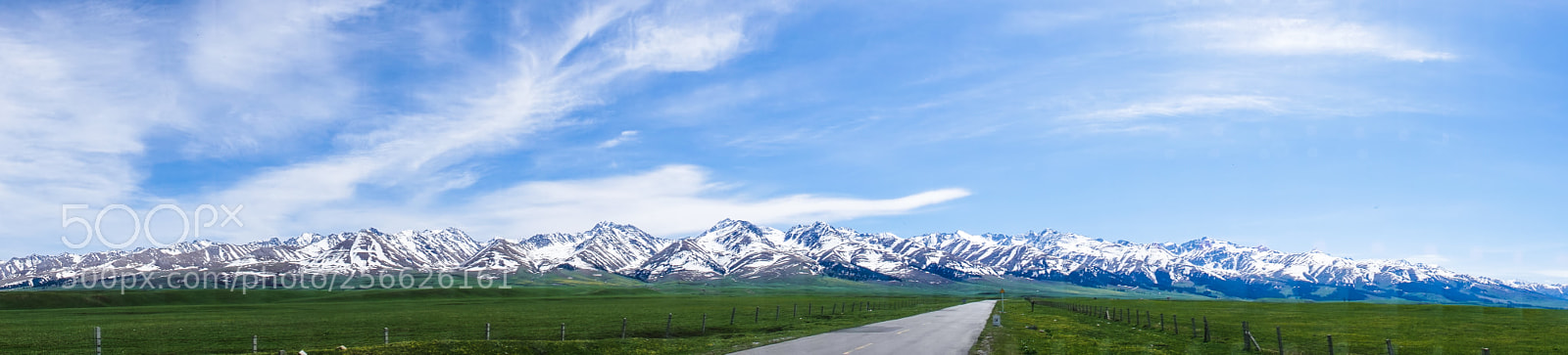 Sony Cyber-shot DSC-RX10 IV sample photo. Nalat grassland panorama photography