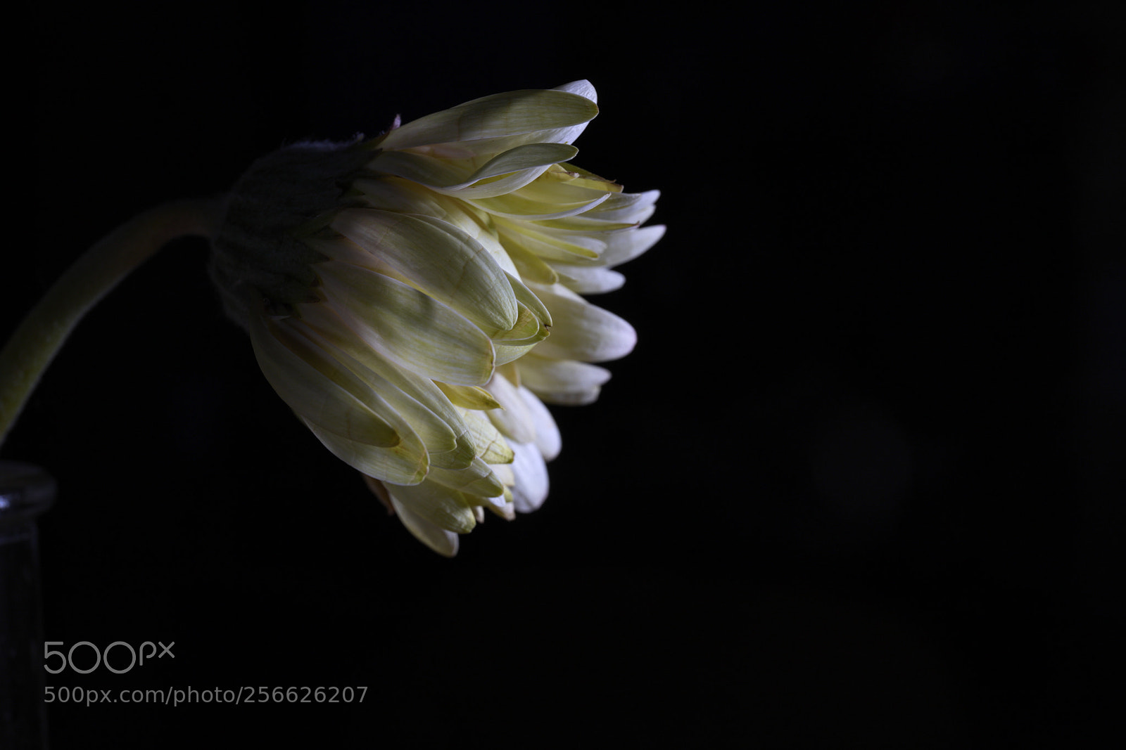 Canon EF 24-70mm F4L IS USM sample photo. Remember me... iii photography