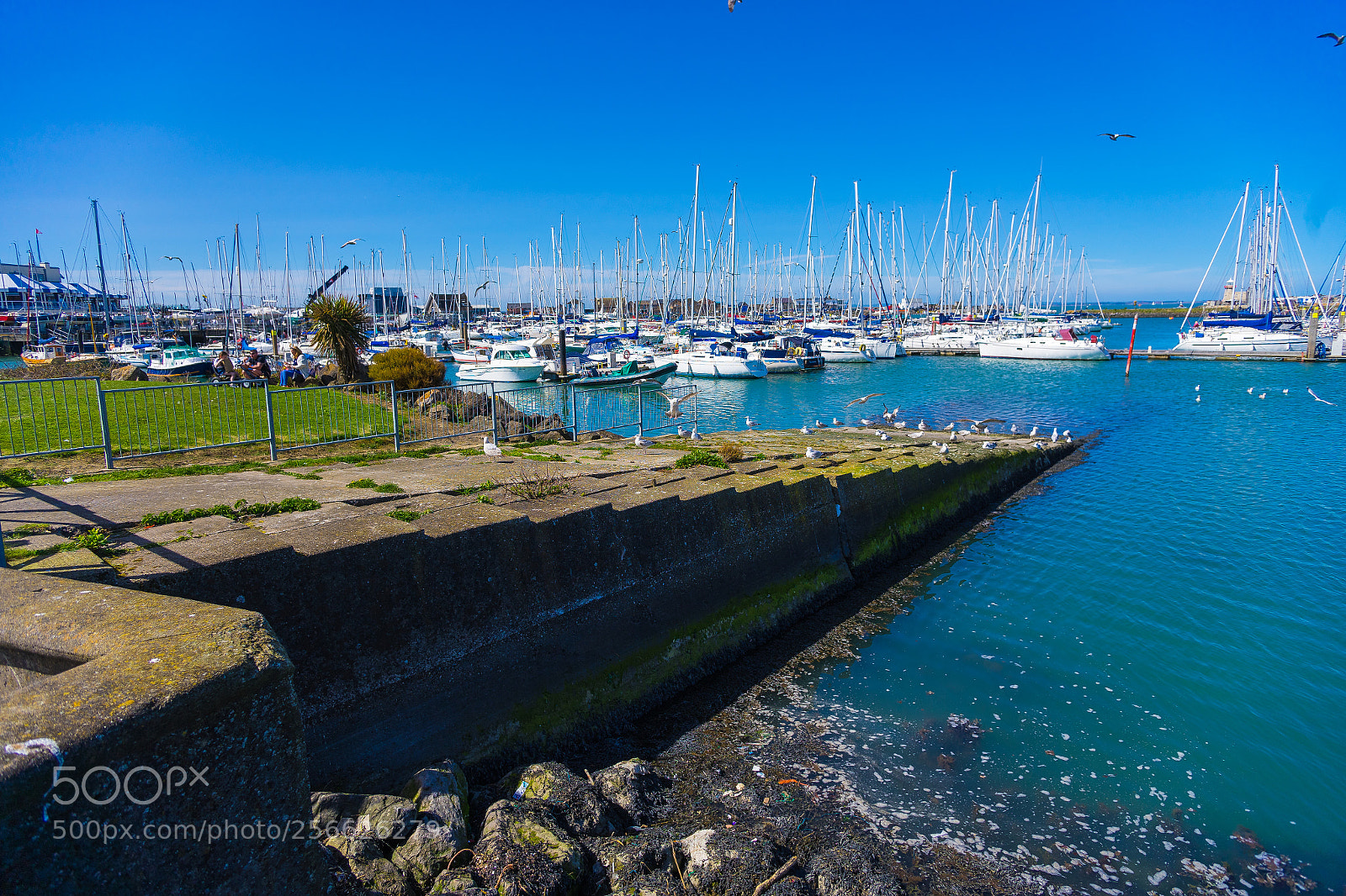 Sony a7 sample photo. Howth cliffs photography