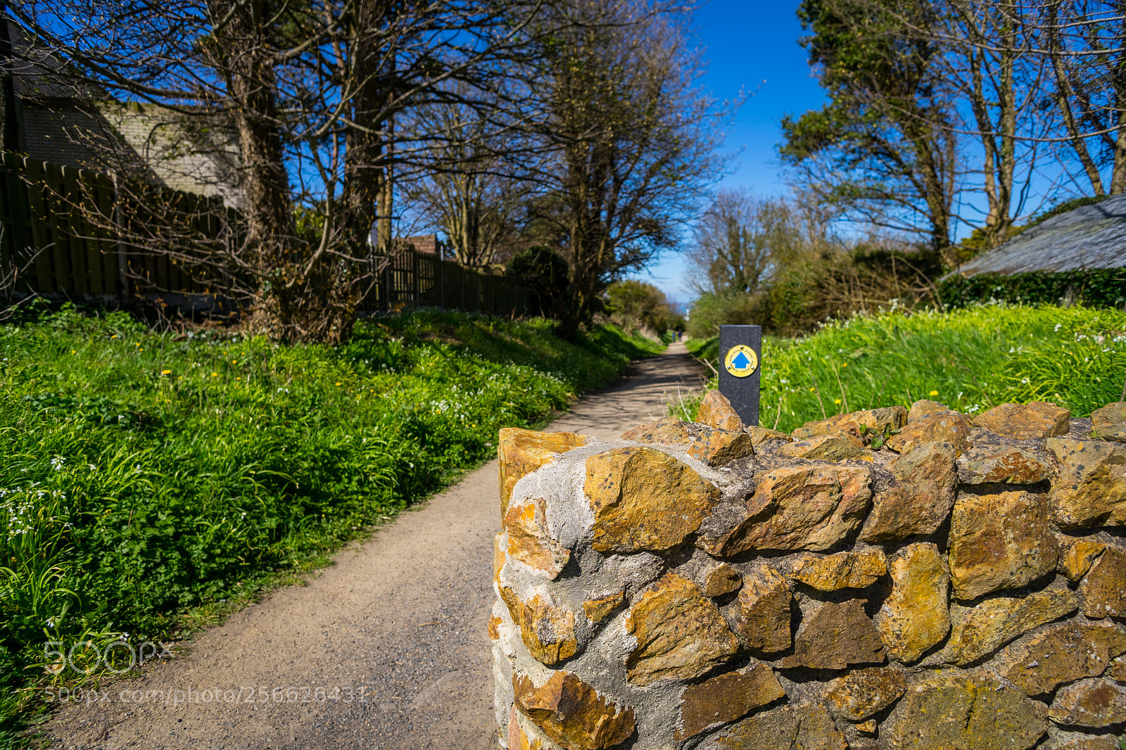 Sony a7 sample photo. Walk photography