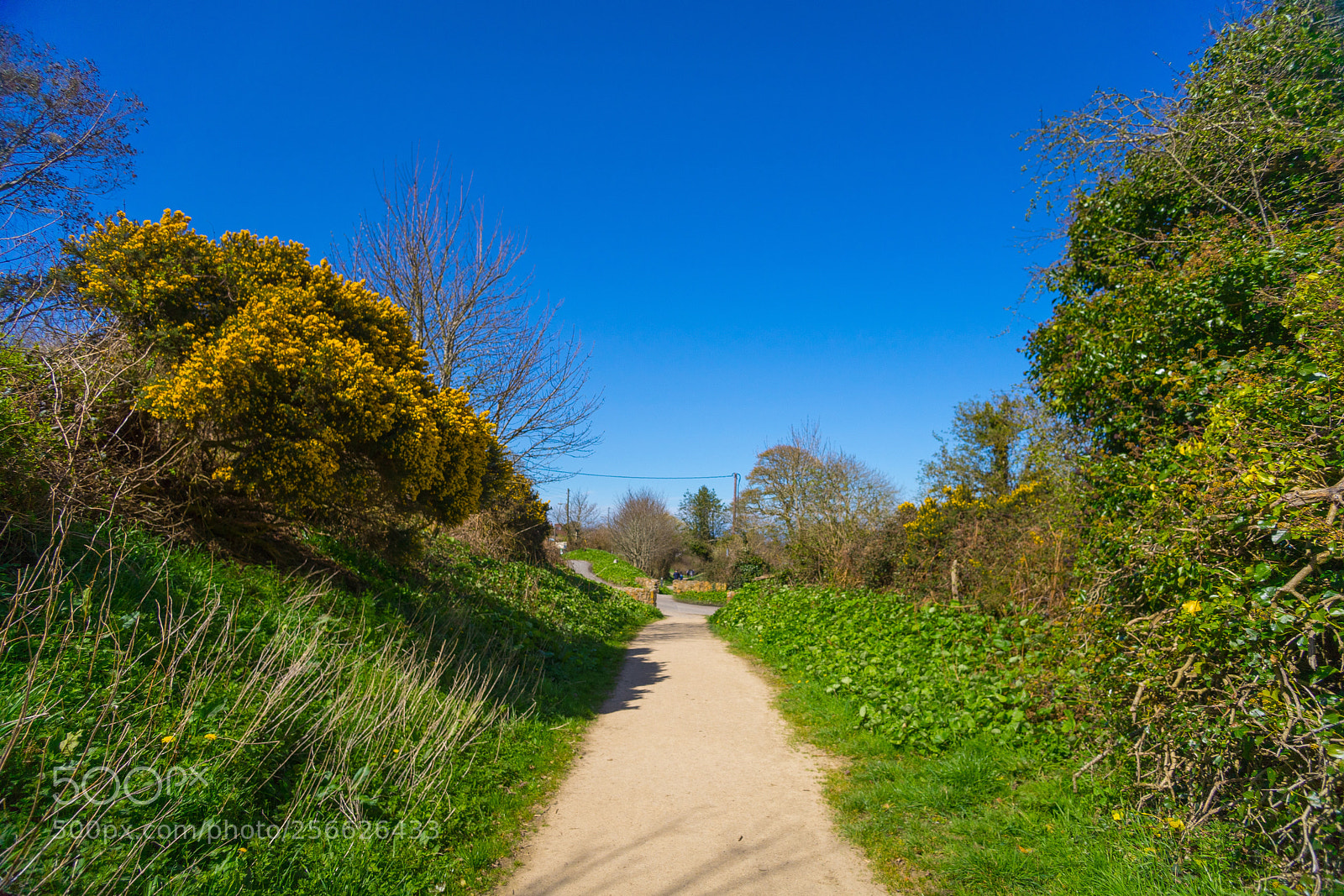 Sony a7 sample photo. Walk photography