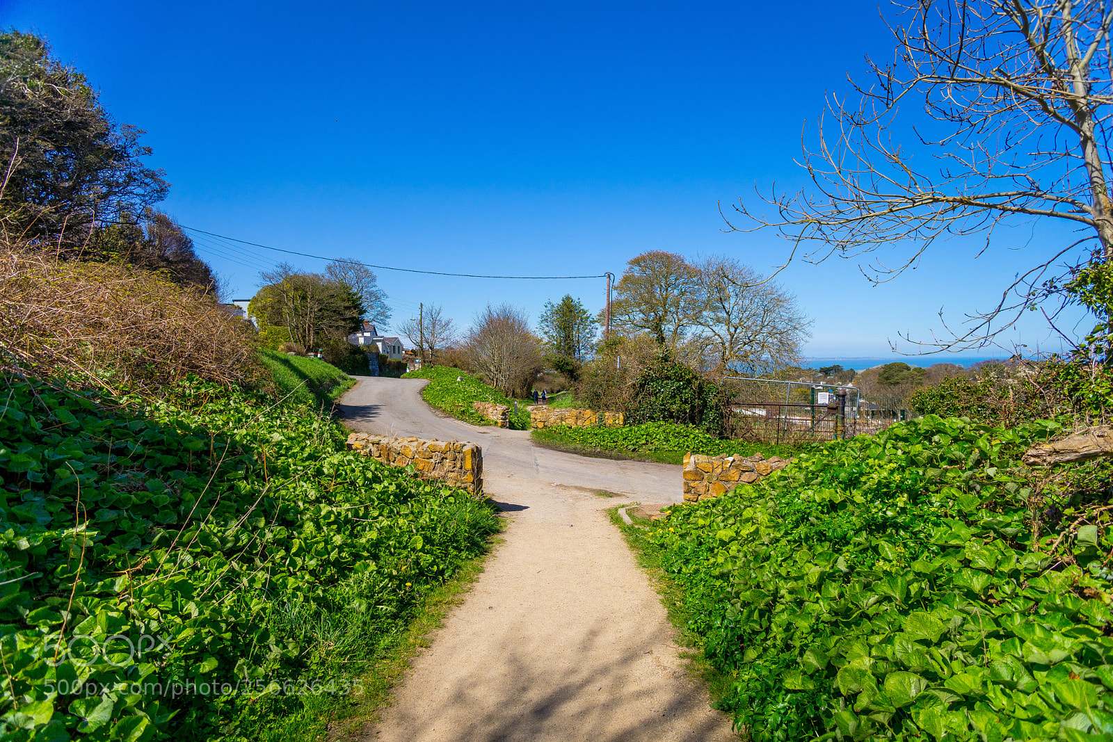 Sony a7 sample photo. Walk photography
