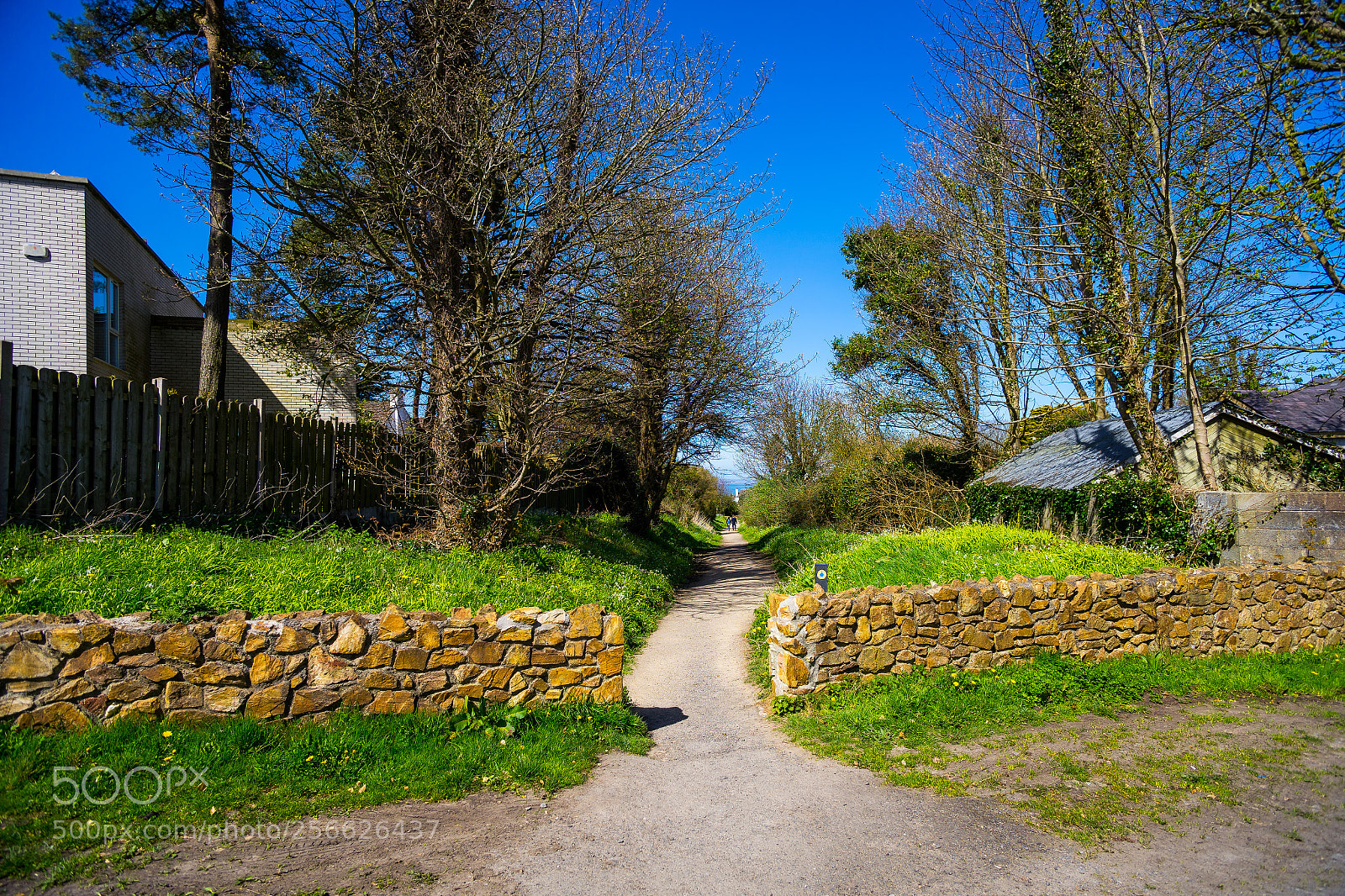 Sony a7 sample photo. Walk photography