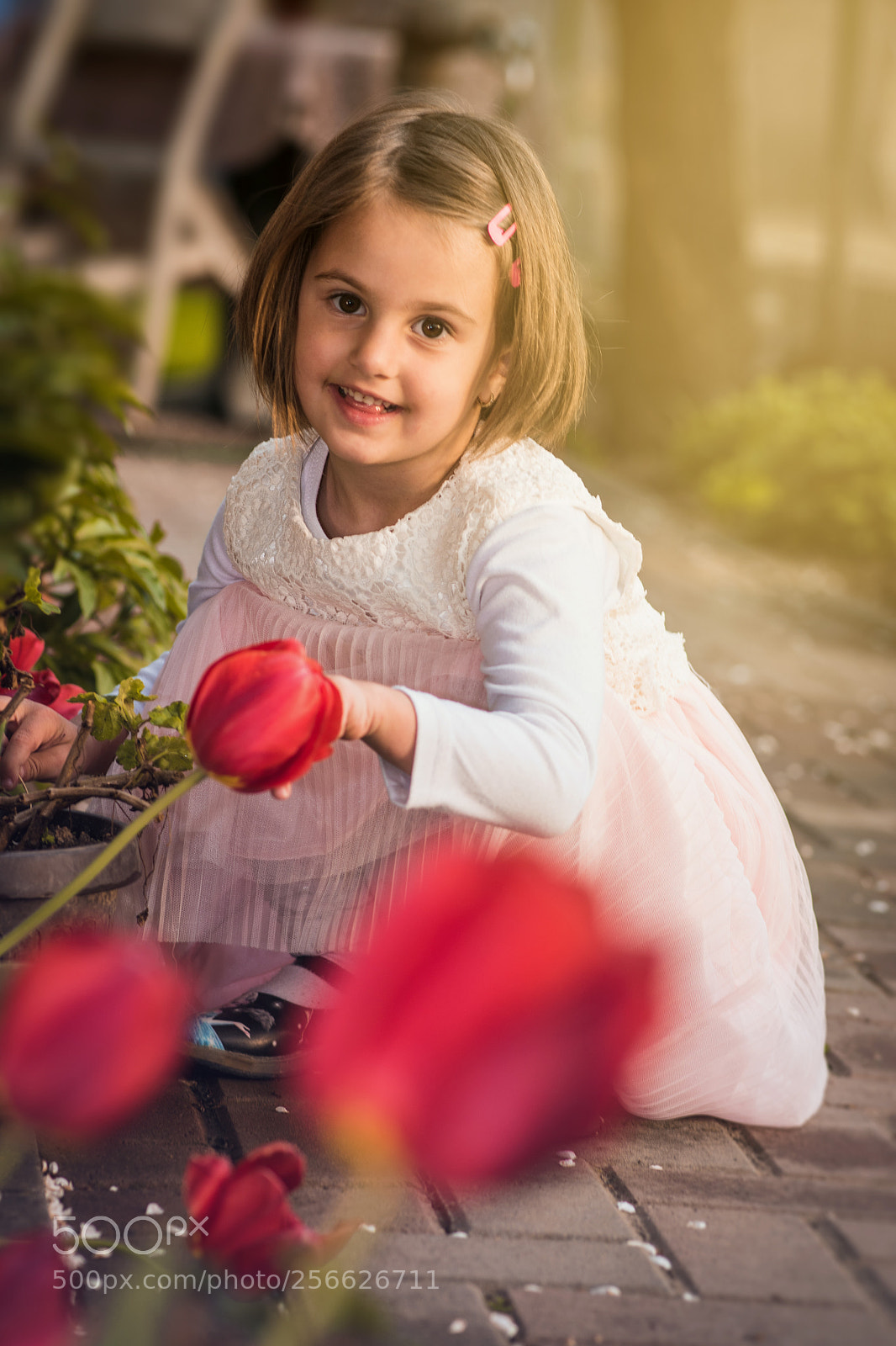 Nikon D5500 sample photo. Spring mood. photography