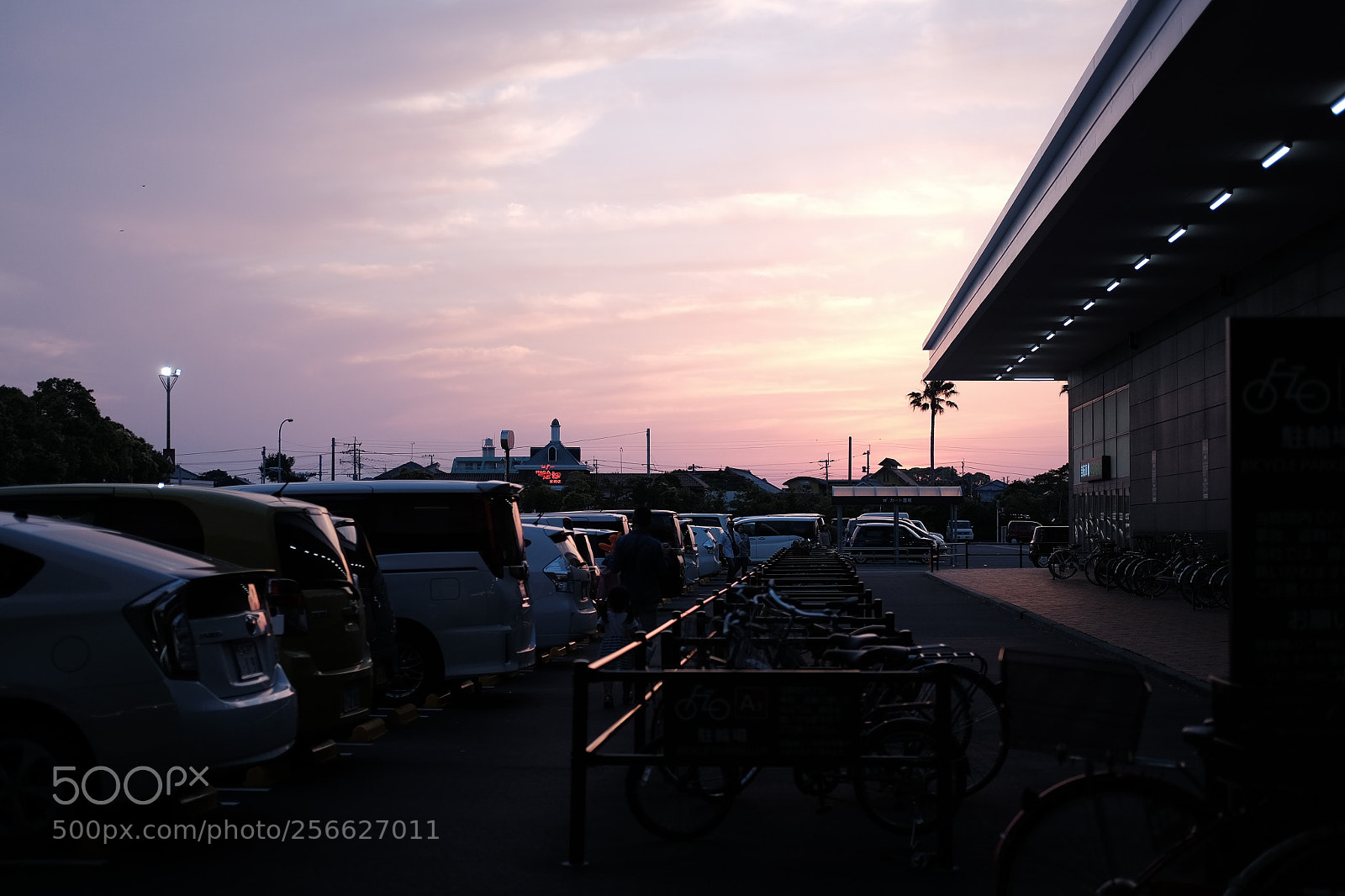 Fujifilm X-T10 sample photo. Dscf photography