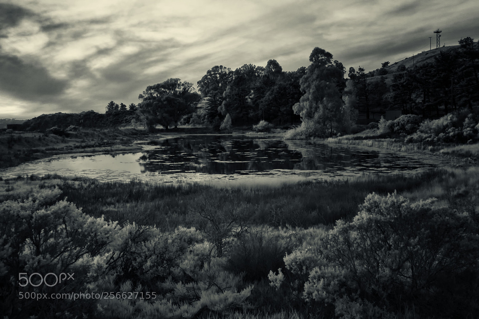 Sony Cyber-shot DSC-RX100 III sample photo. Pond after dark photography