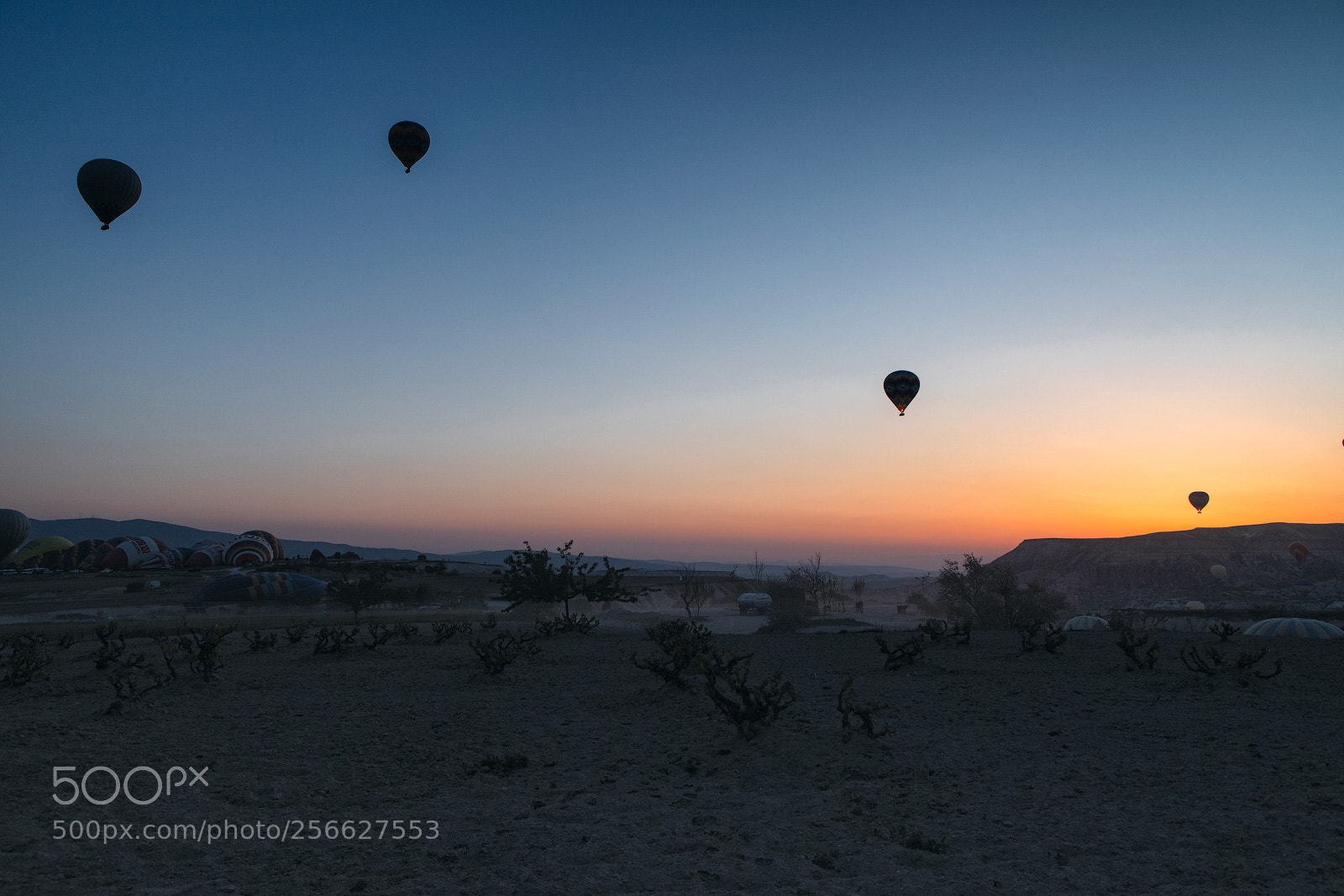 Canon EOS 6D Mark II sample photo. Towards the sun photography
