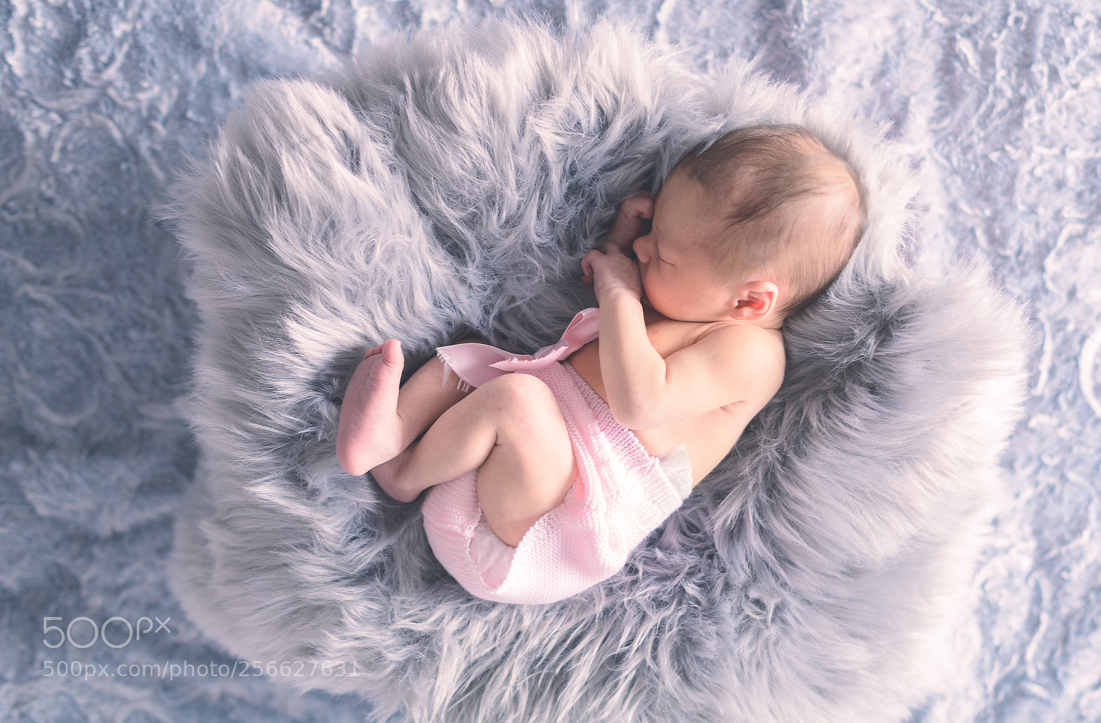 Nikon D800 sample photo. Triana photography
