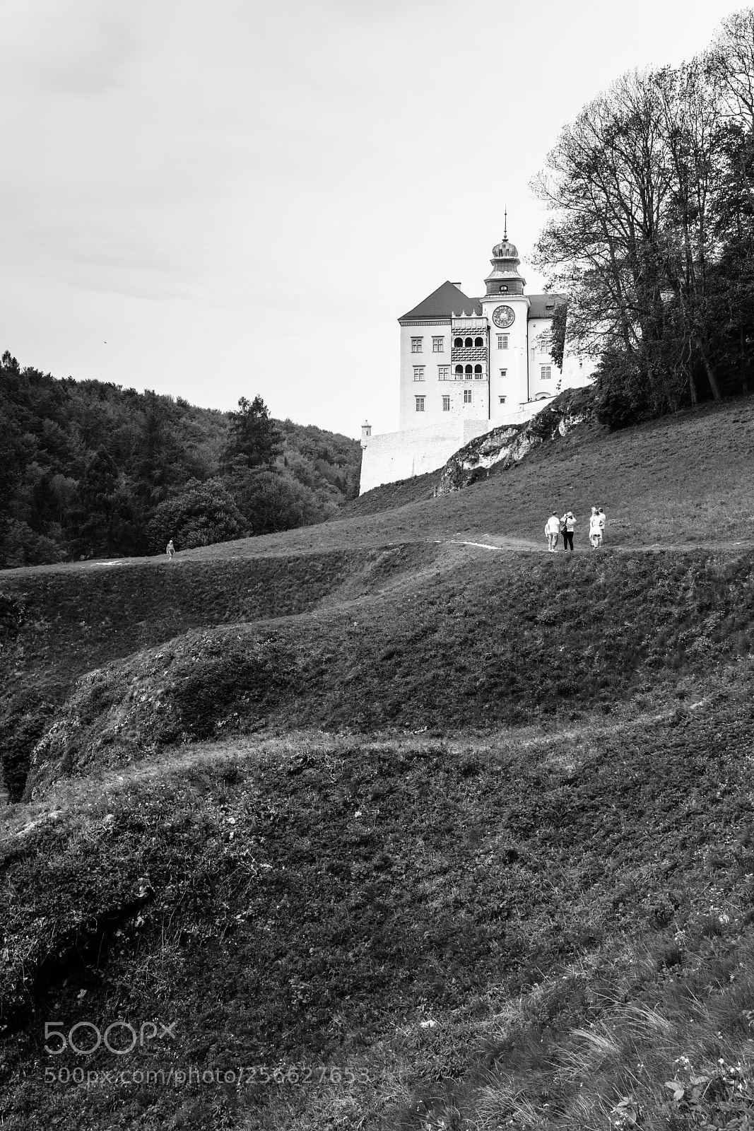 Sony SLT-A68 sample photo. The old castle photography
