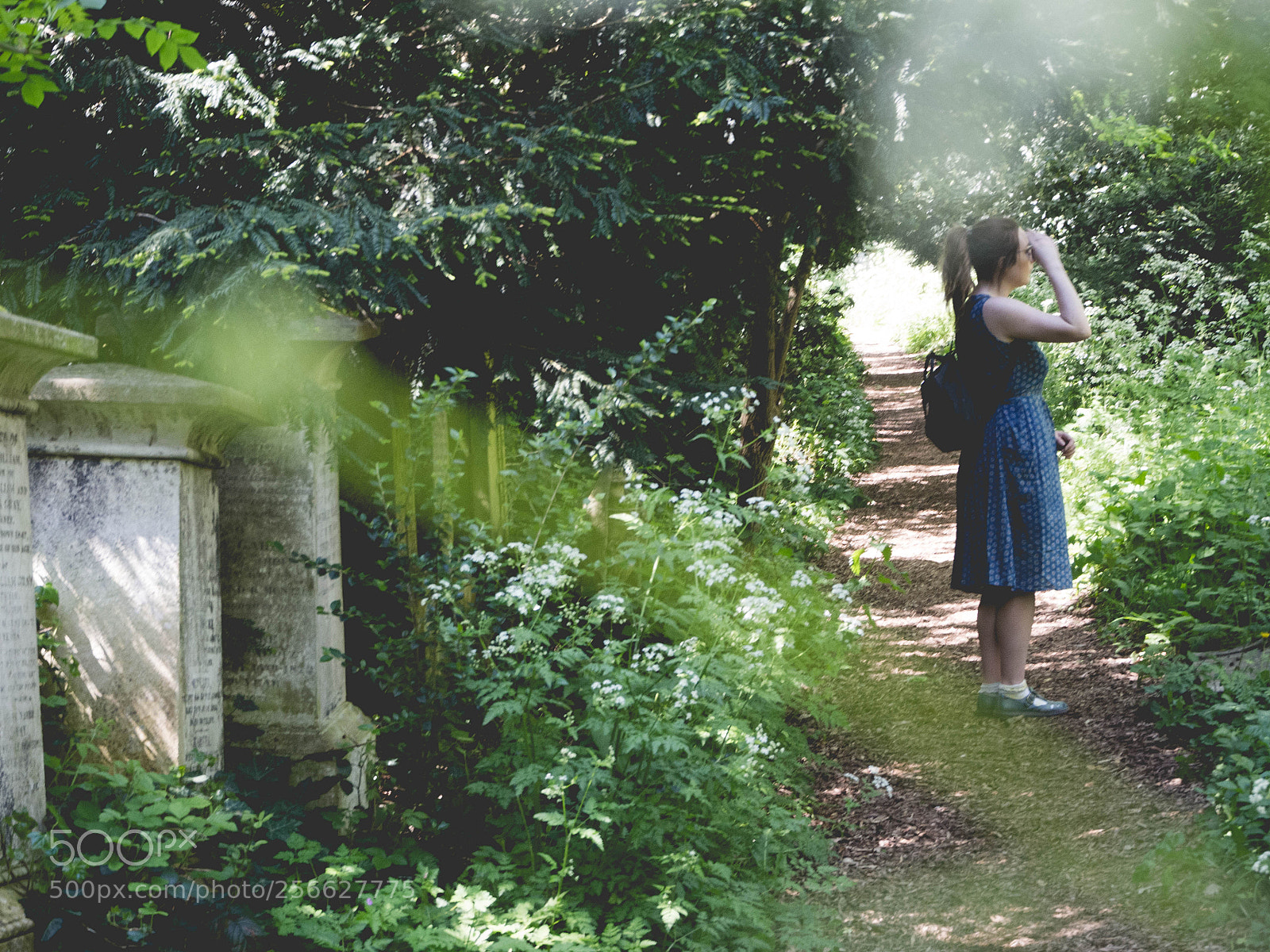 Olympus OM-D E-M10 II sample photo. Lost between the gravestones photography