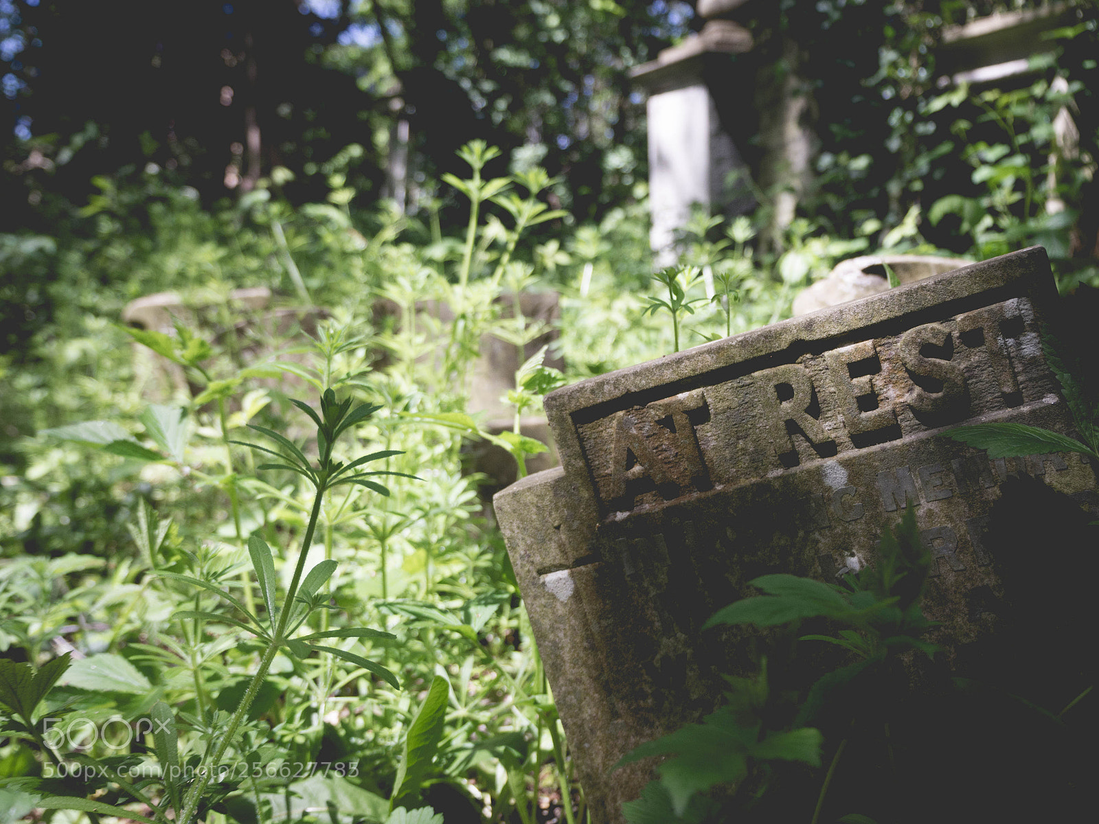 Olympus OM-D E-M10 II sample photo. At rest photography
