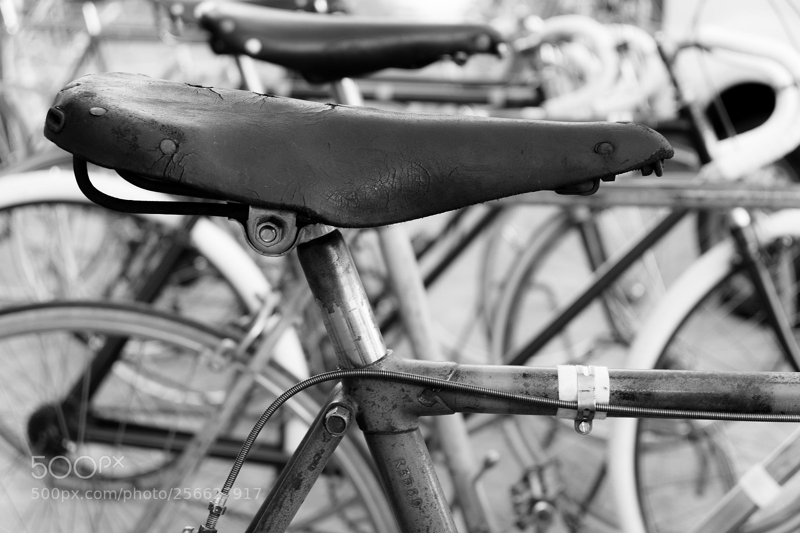 Fujifilm X-T10 sample photo. Untitled photography