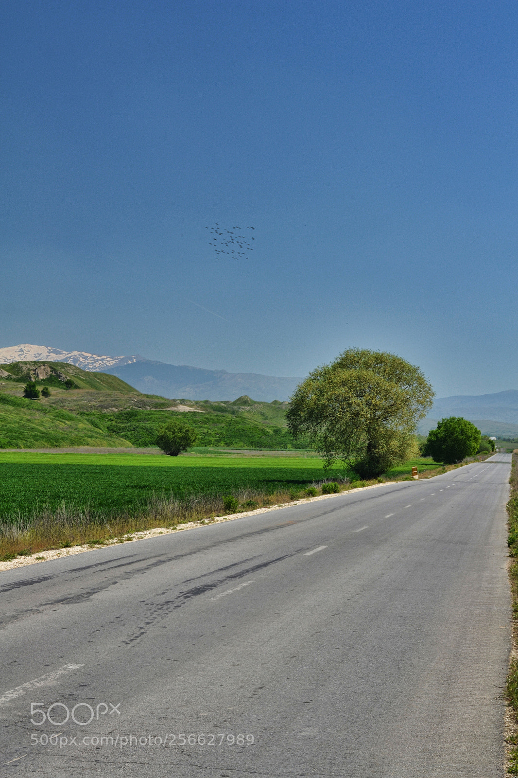 Nikon D3100 sample photo. Long road photography