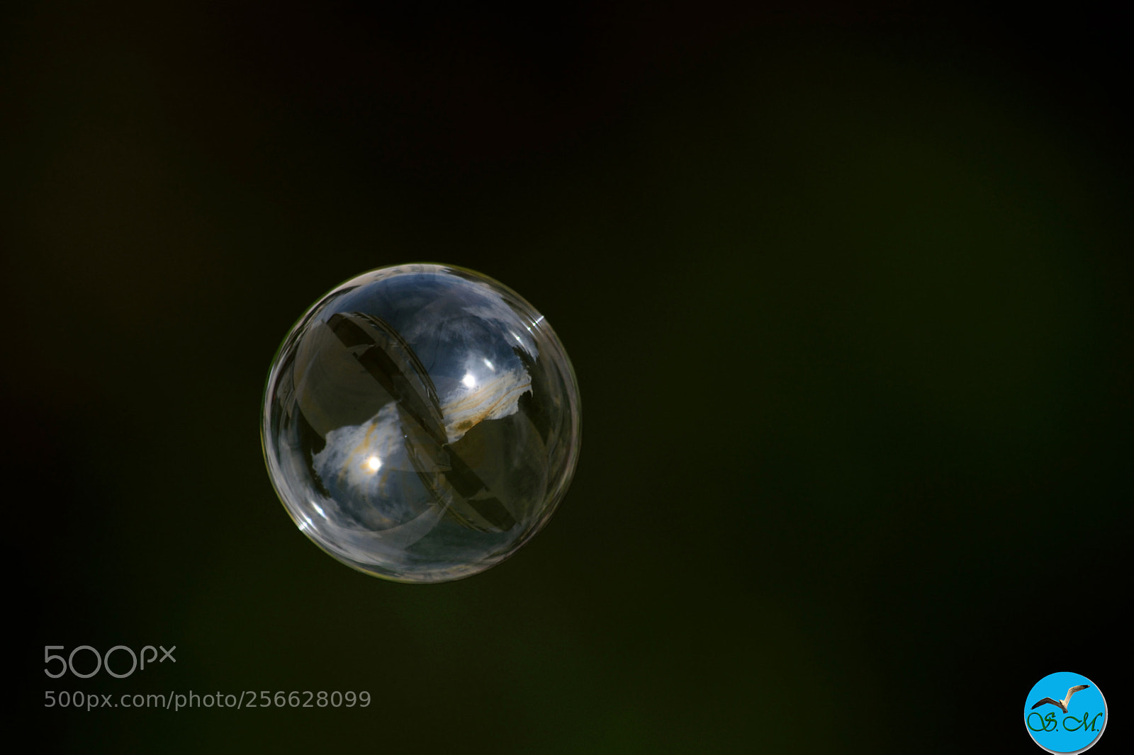 Nikon D3300 sample photo. Reflets dans la bulle ! photography