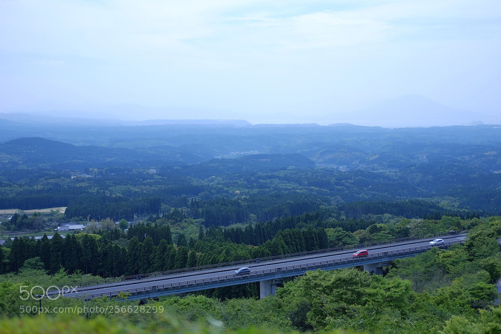 Fujifilm X-T10 sample photo. Dscf photography