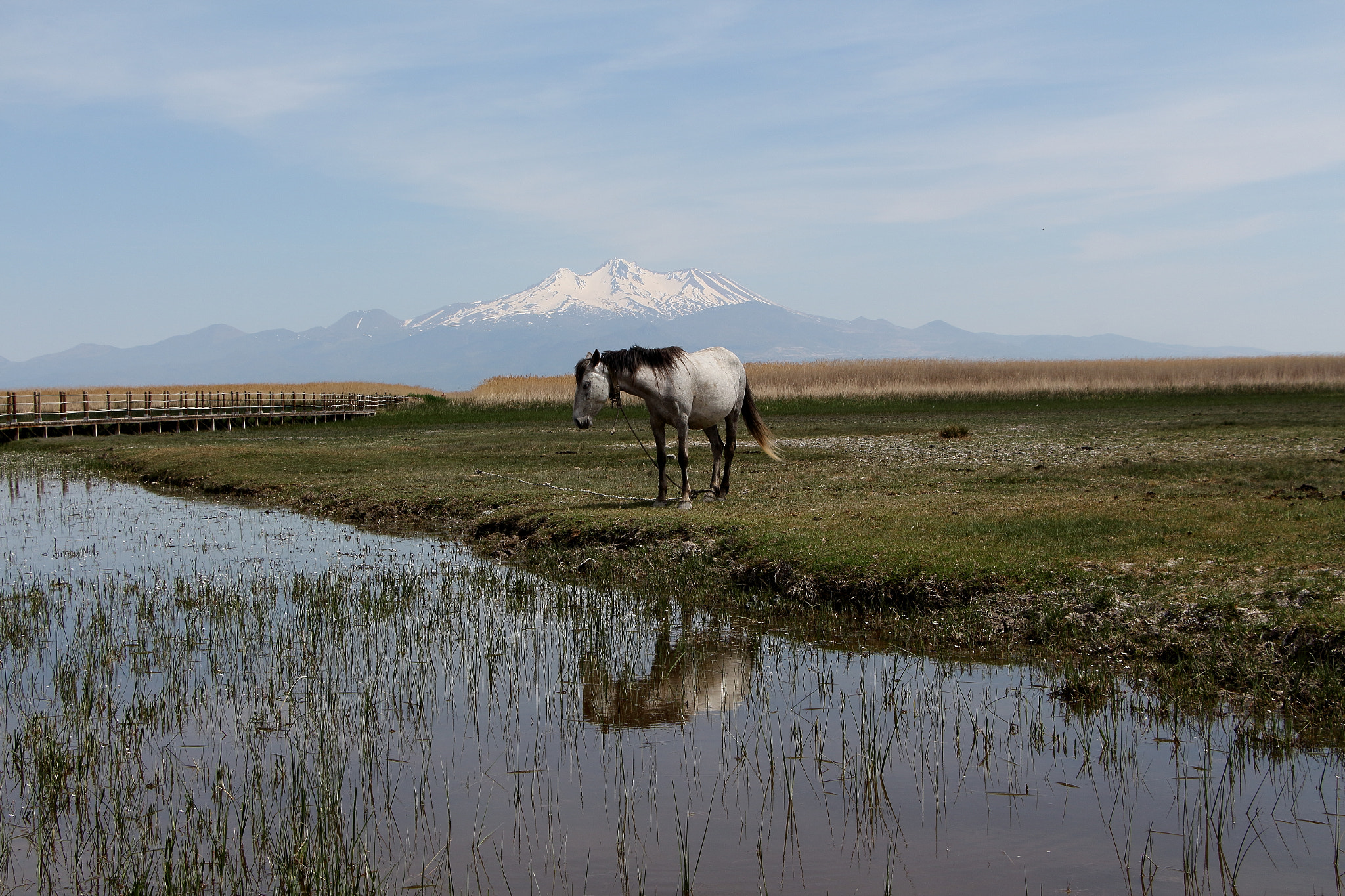 Canon EOS 650D (EOS Rebel T4i / EOS Kiss X6i) sample photo. Sultan sazlığı photography
