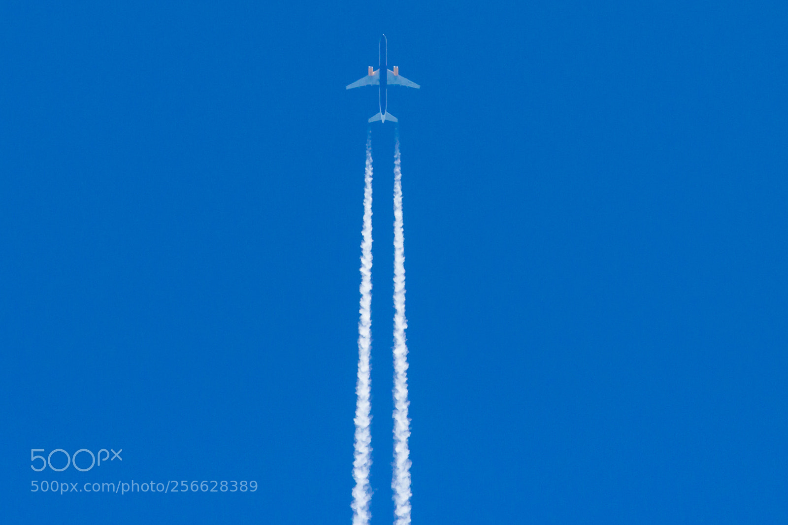 Canon EOS 60D sample photo. Jet on blue sky photography