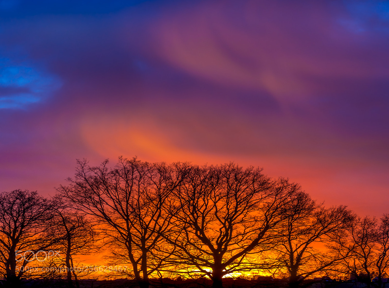 Nikon D90 sample photo. Colorful sunset photography