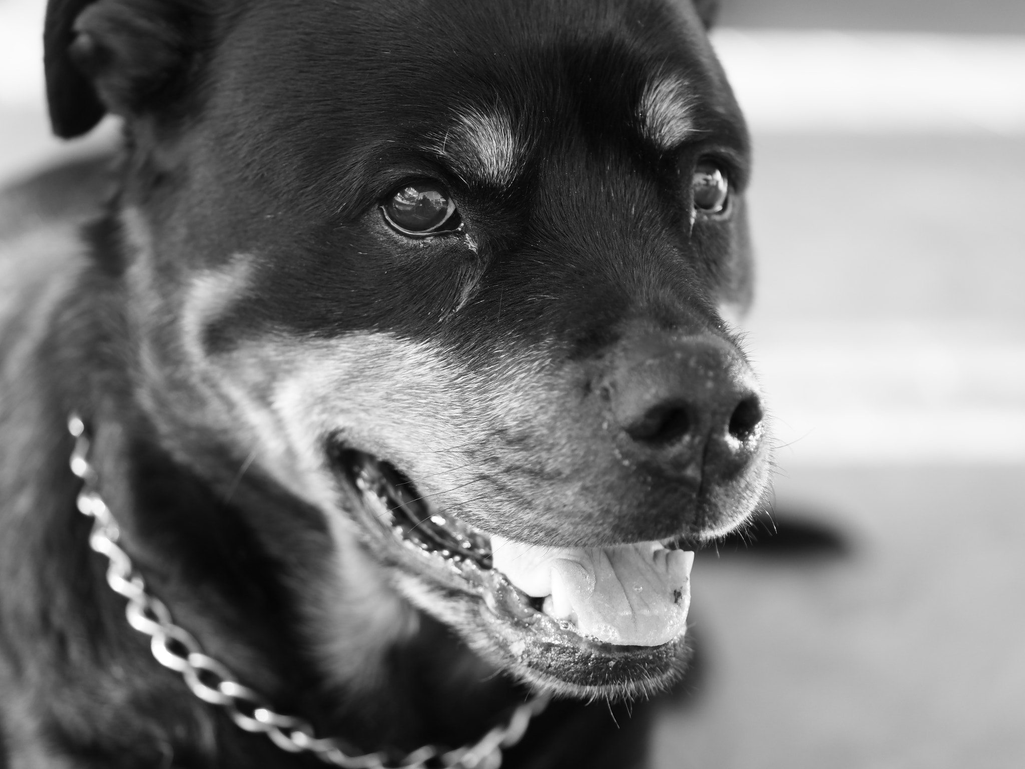 YI TECHNOLOGY M1 sample photo. Bella photography