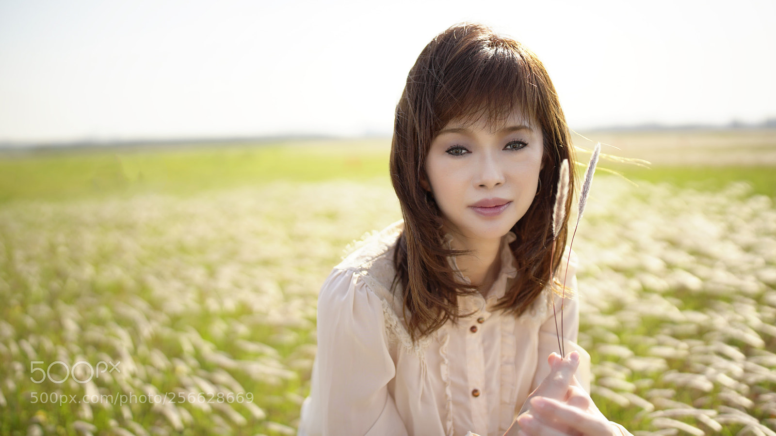 Sony a7 III sample photo. Neko photography