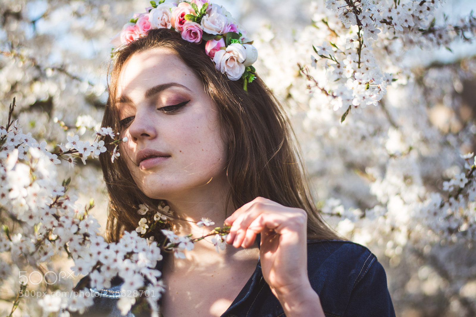 Nikon D5200 sample photo. Spring photography