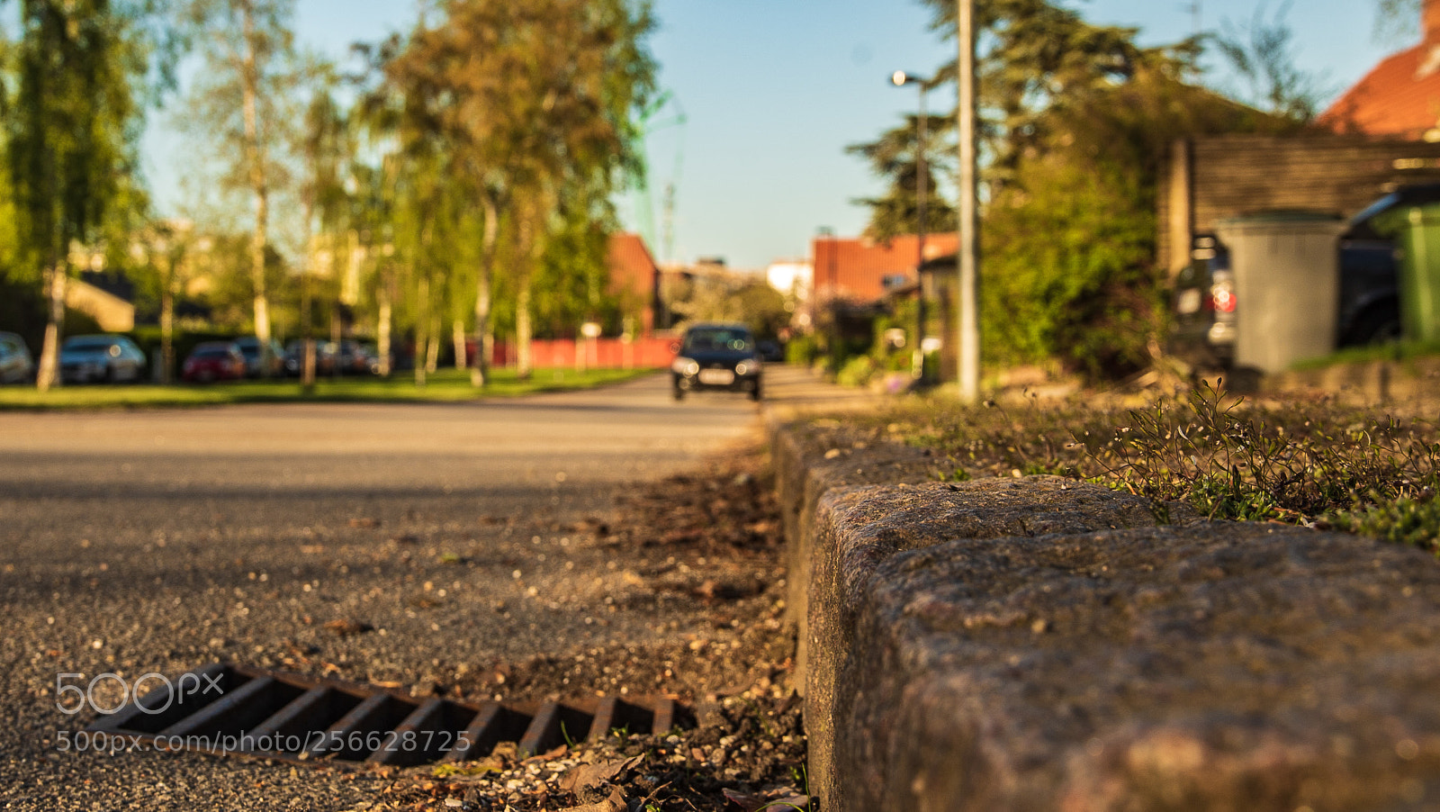 Sony a7S sample photo. Pathwalk photography