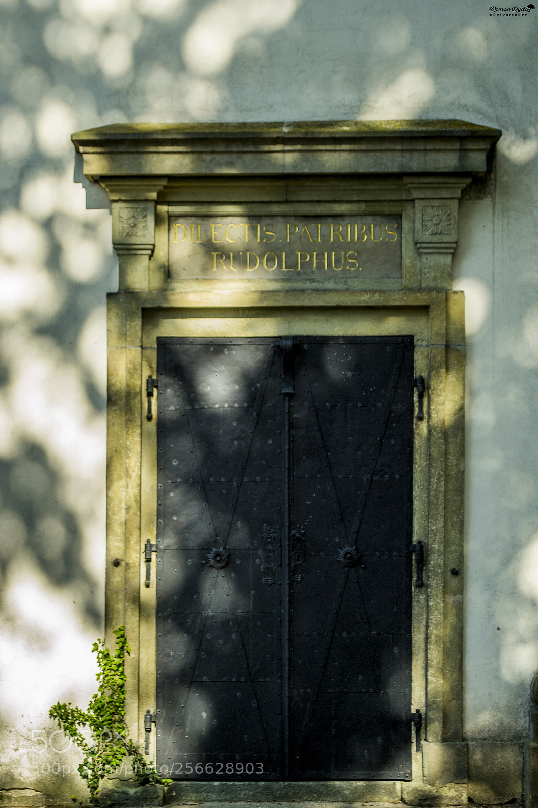 Nikon D3100 sample photo. Black... photography