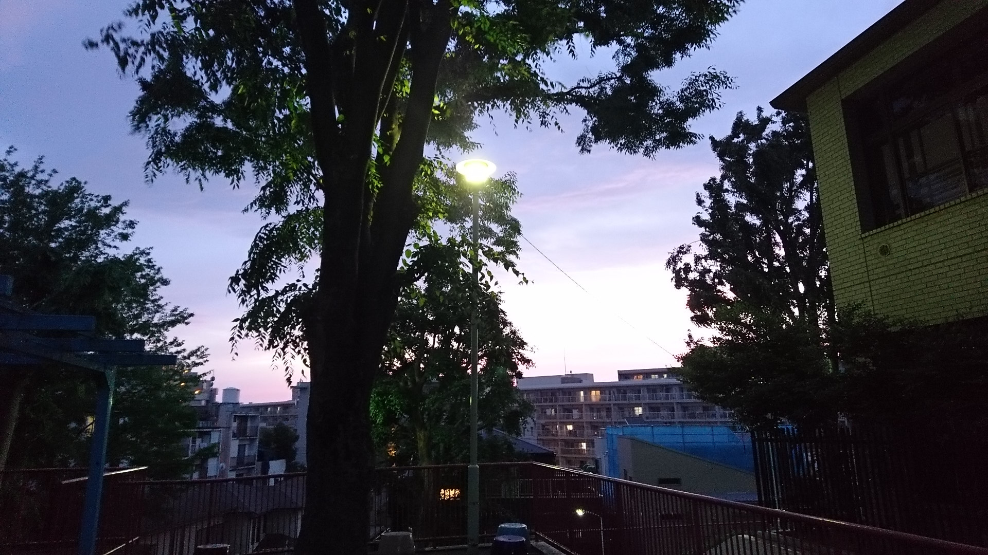 Sony Xperia X Compact sample photo
