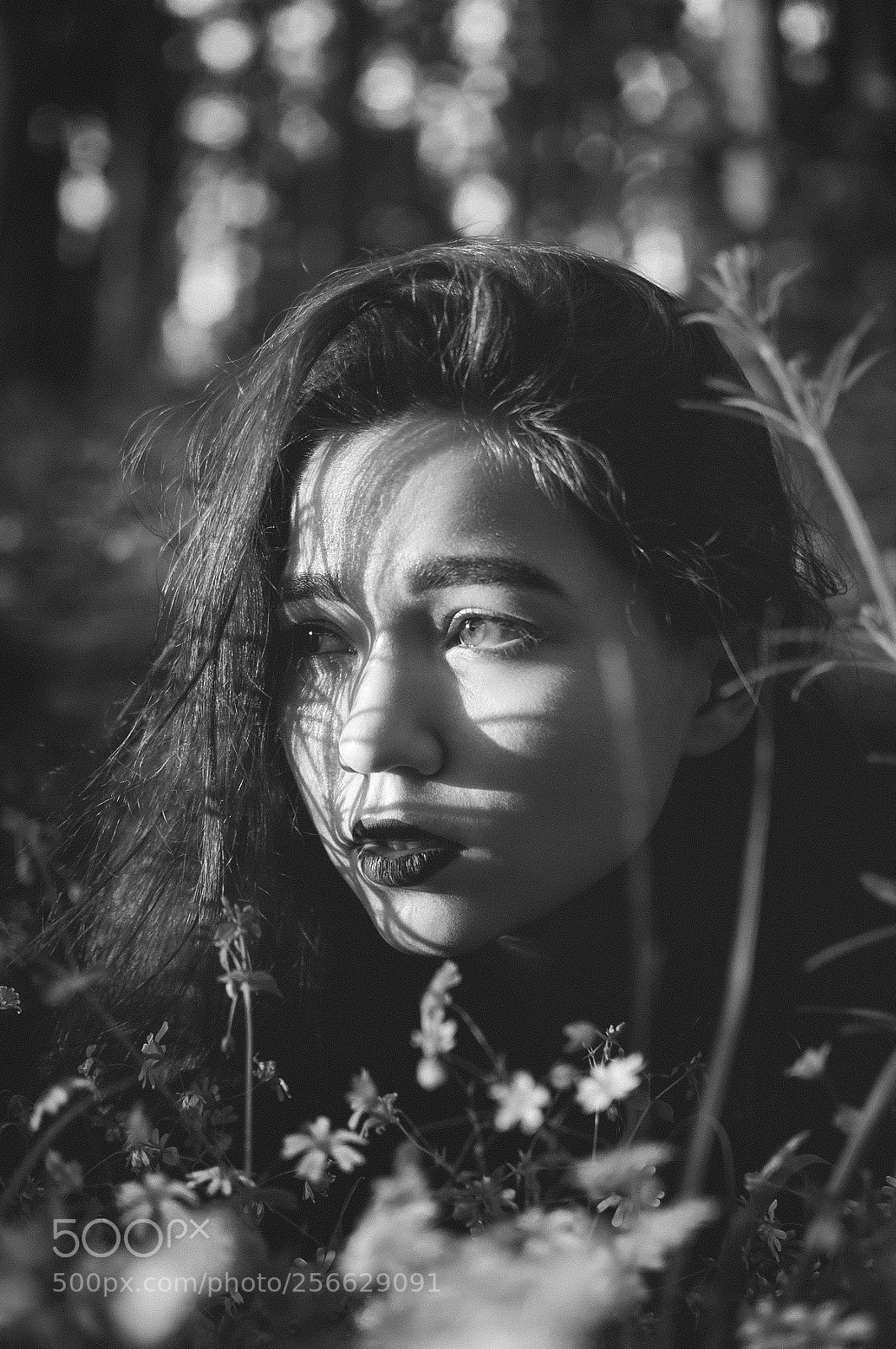 Nikon D90 sample photo. Bw photography