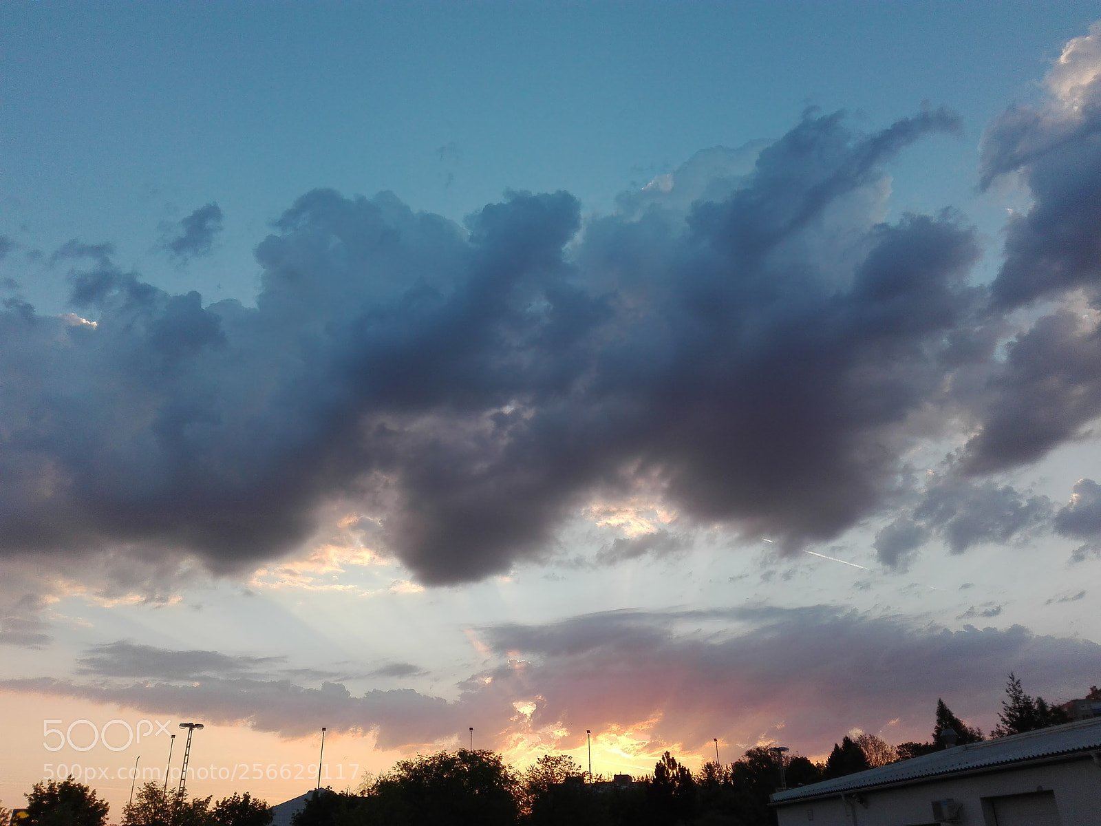 HUAWEI P8 Lite sample photo. Untitled photography