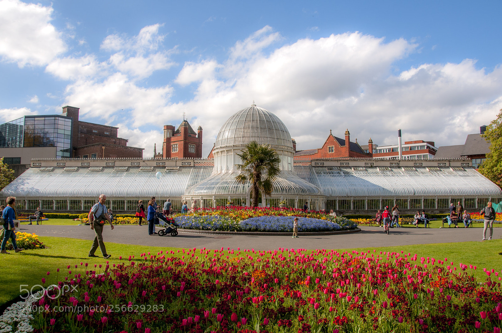Nikon D300S sample photo. Palm house, botanic gardens photography
