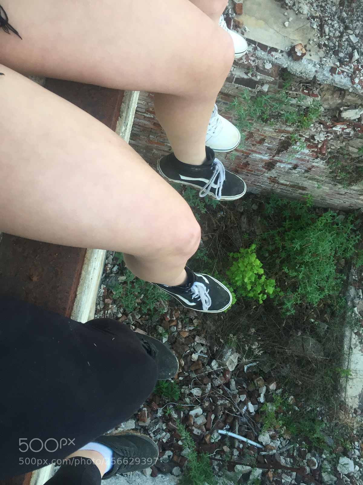 Apple iPhone 6 sample photo. If you fall, i photography
