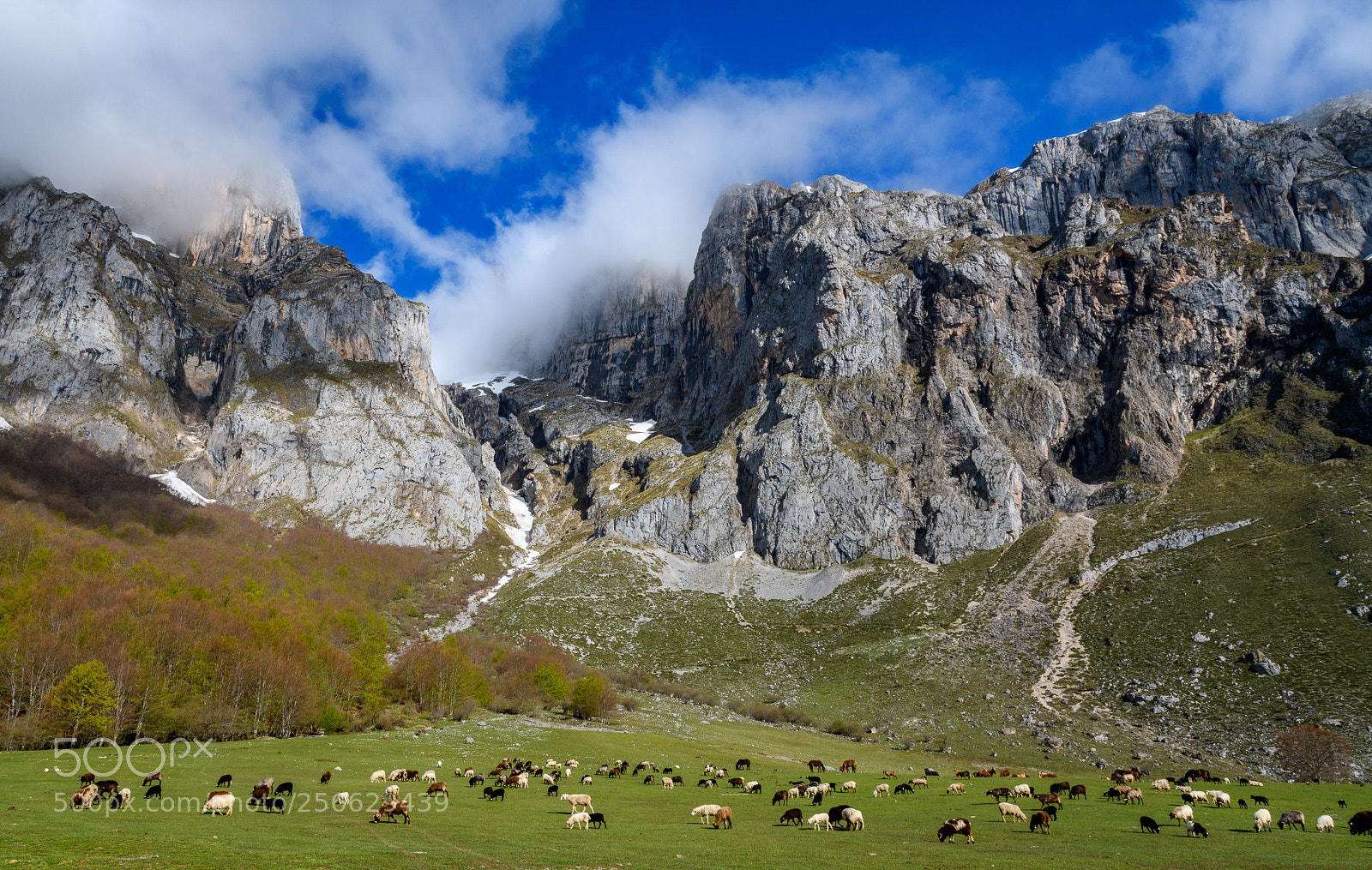 Nikon D850 sample photo. Picos de europa national photography