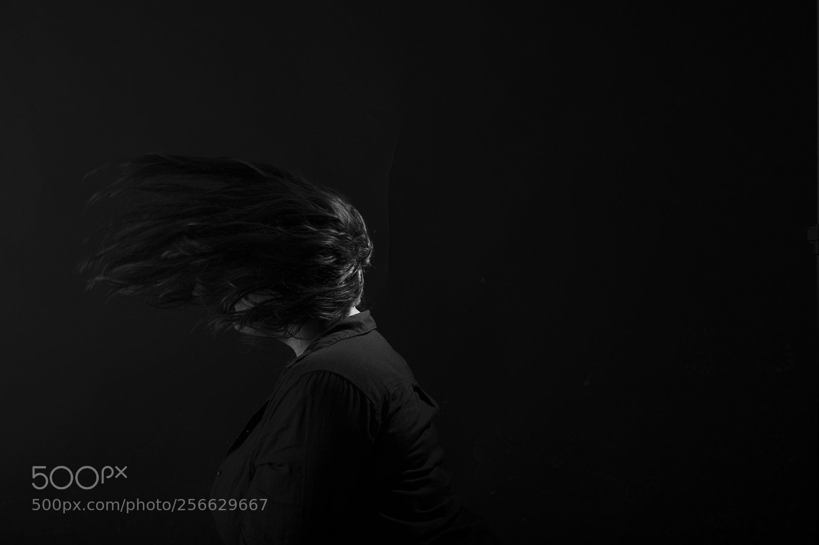 Nikon D700 sample photo. Hair whip photography