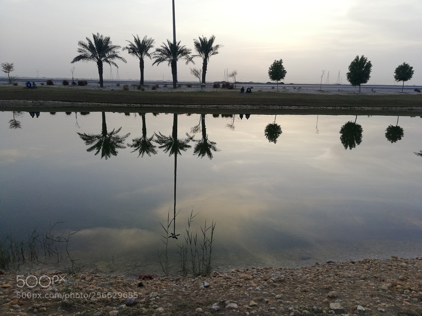 HUAWEI Mate 10 Lite sample photo. Dav photography