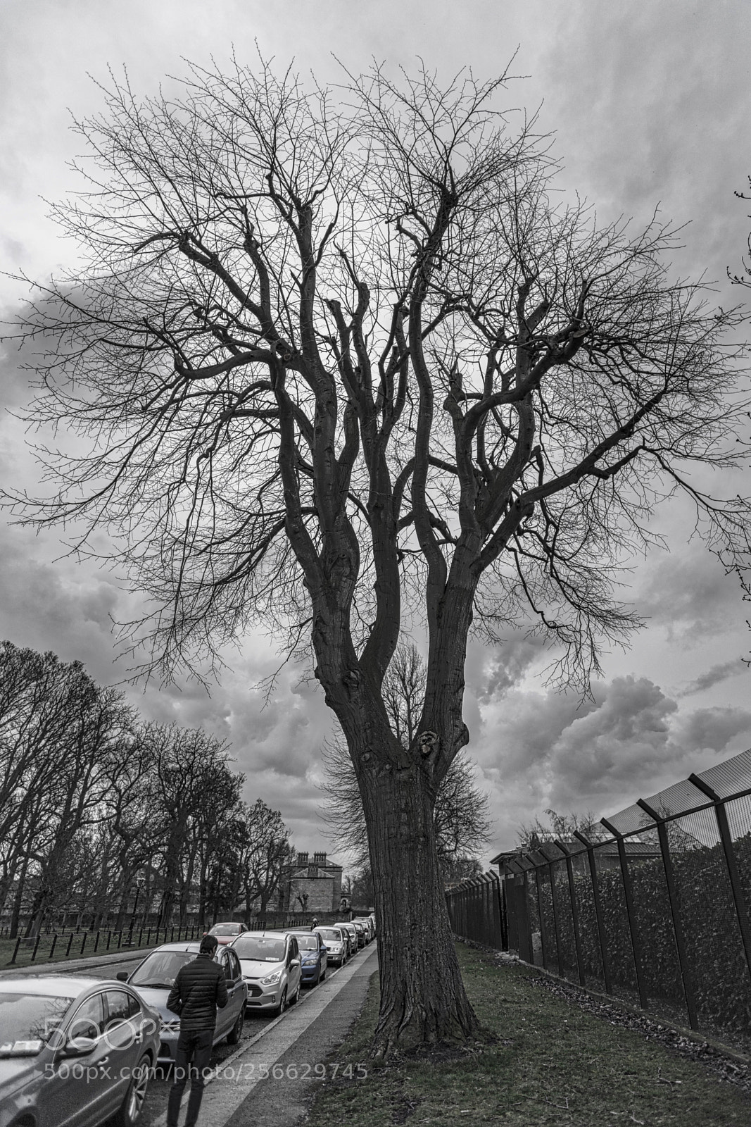 Sony a7 sample photo. B & w photography