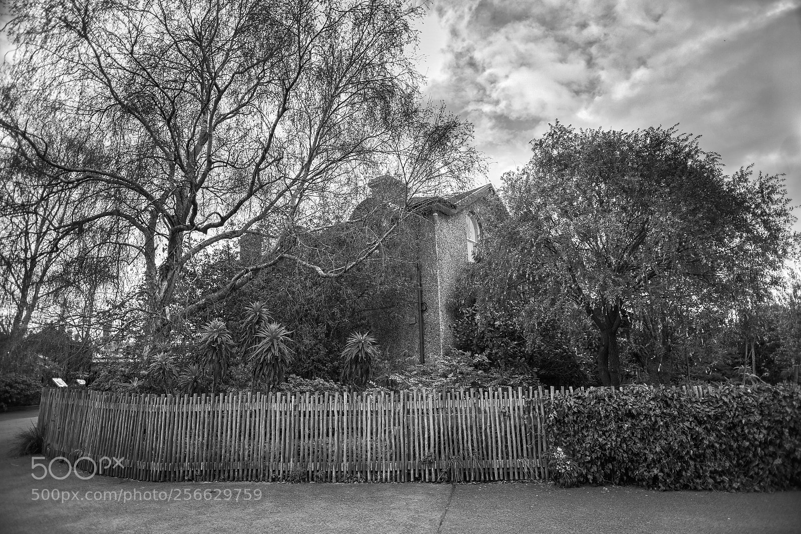 Sony a7 sample photo. B & w photography