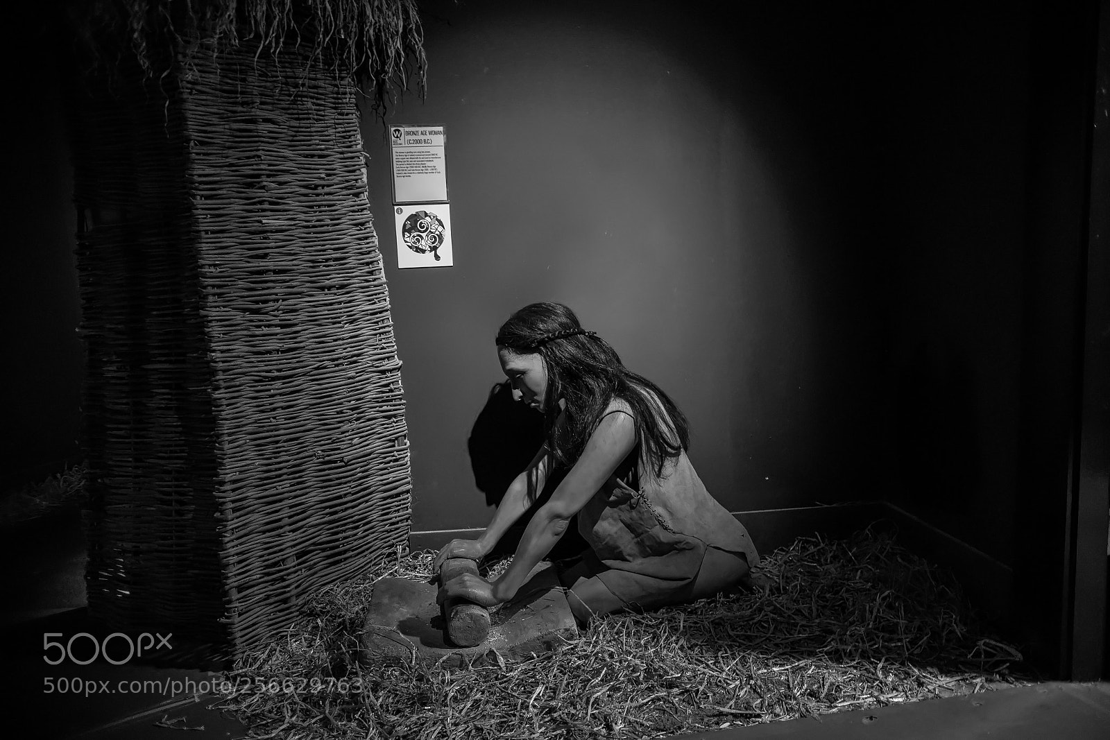 Sony a7 sample photo. B & w photography