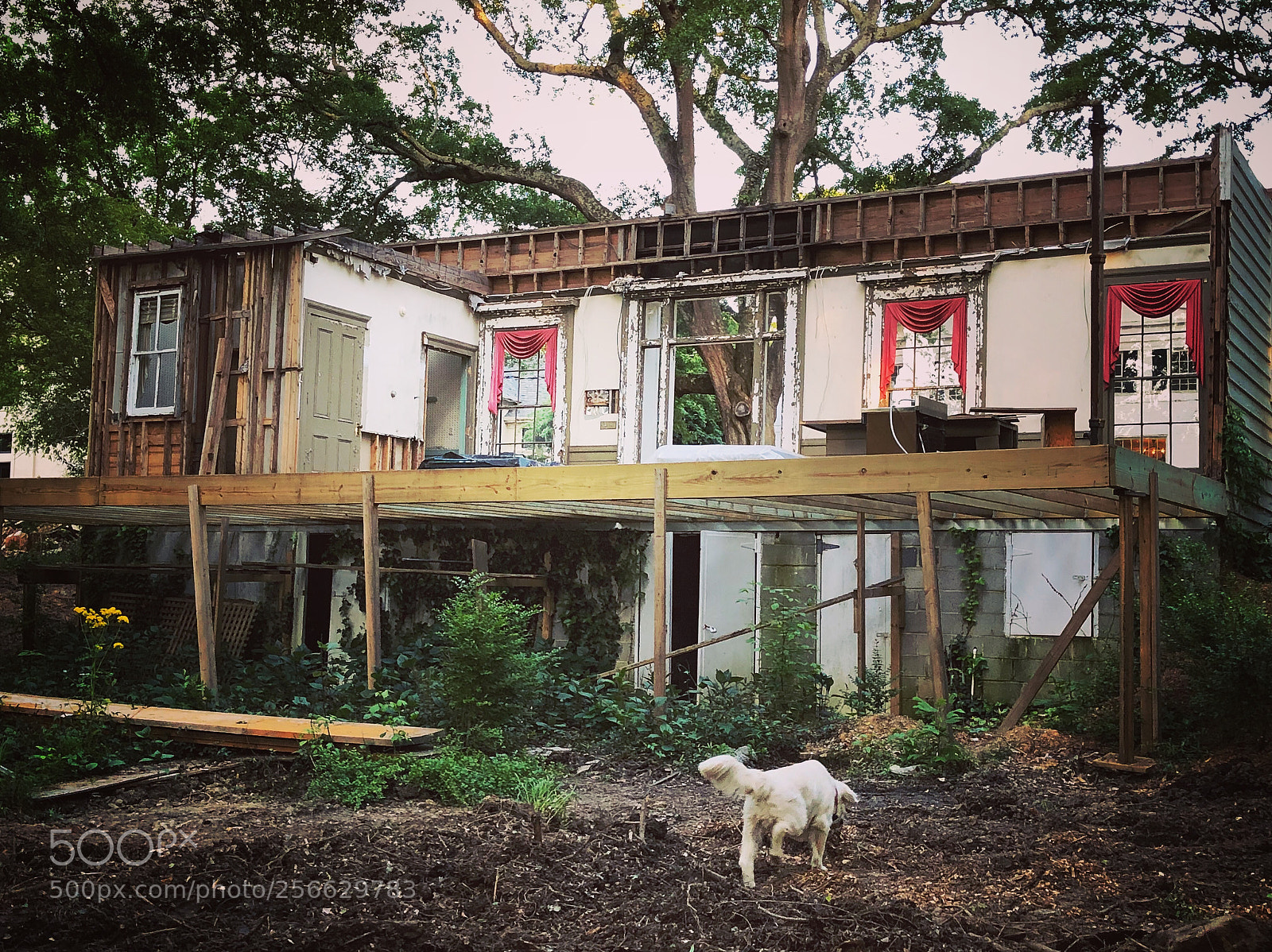 Apple iPhone X sample photo. “renovation” photography