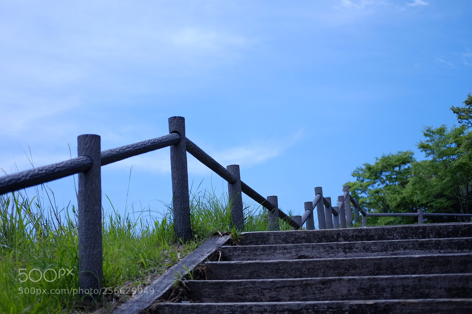 Fujifilm X-T10 sample photo. Dscf photography
