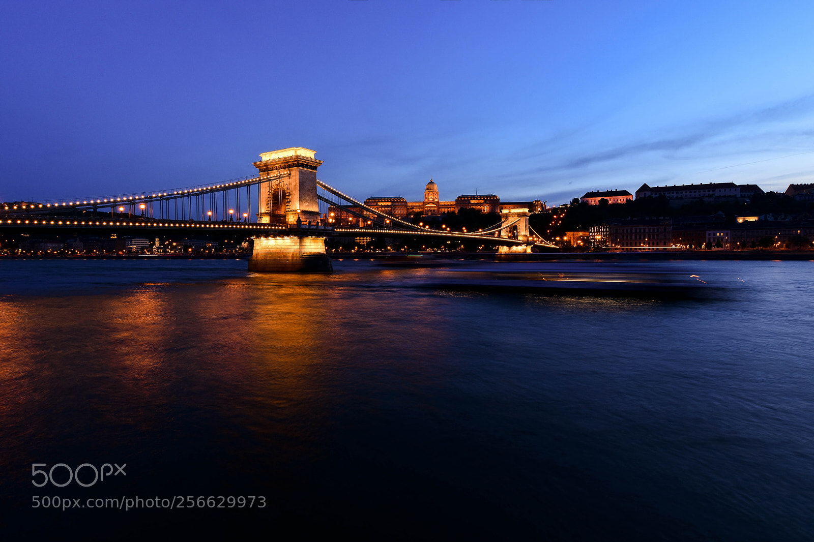 Nikon D7200 sample photo. Golden bridge photography
