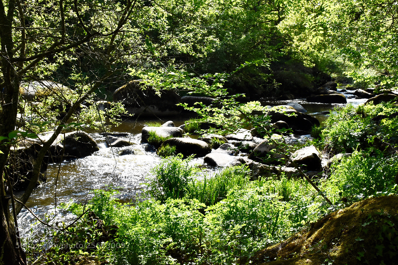 Nikon D7200 sample photo. Vall e de l photography