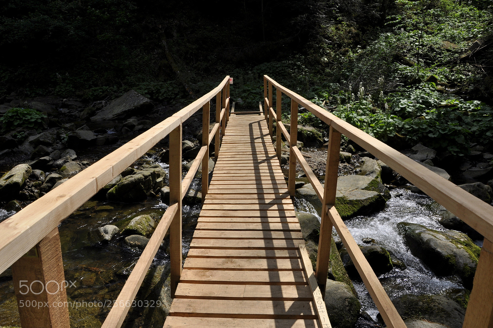 Nikon D90 sample photo. Bridge | kamynka ukraine photography