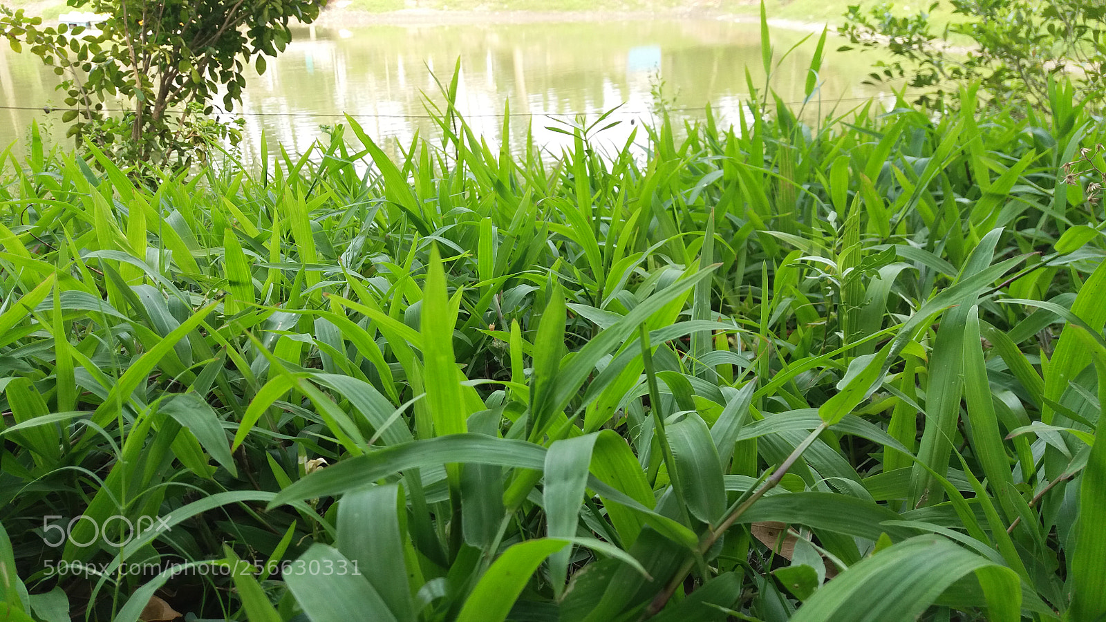 Samsung Galaxy J5 sample photo. 20180503_144420.jpg photography