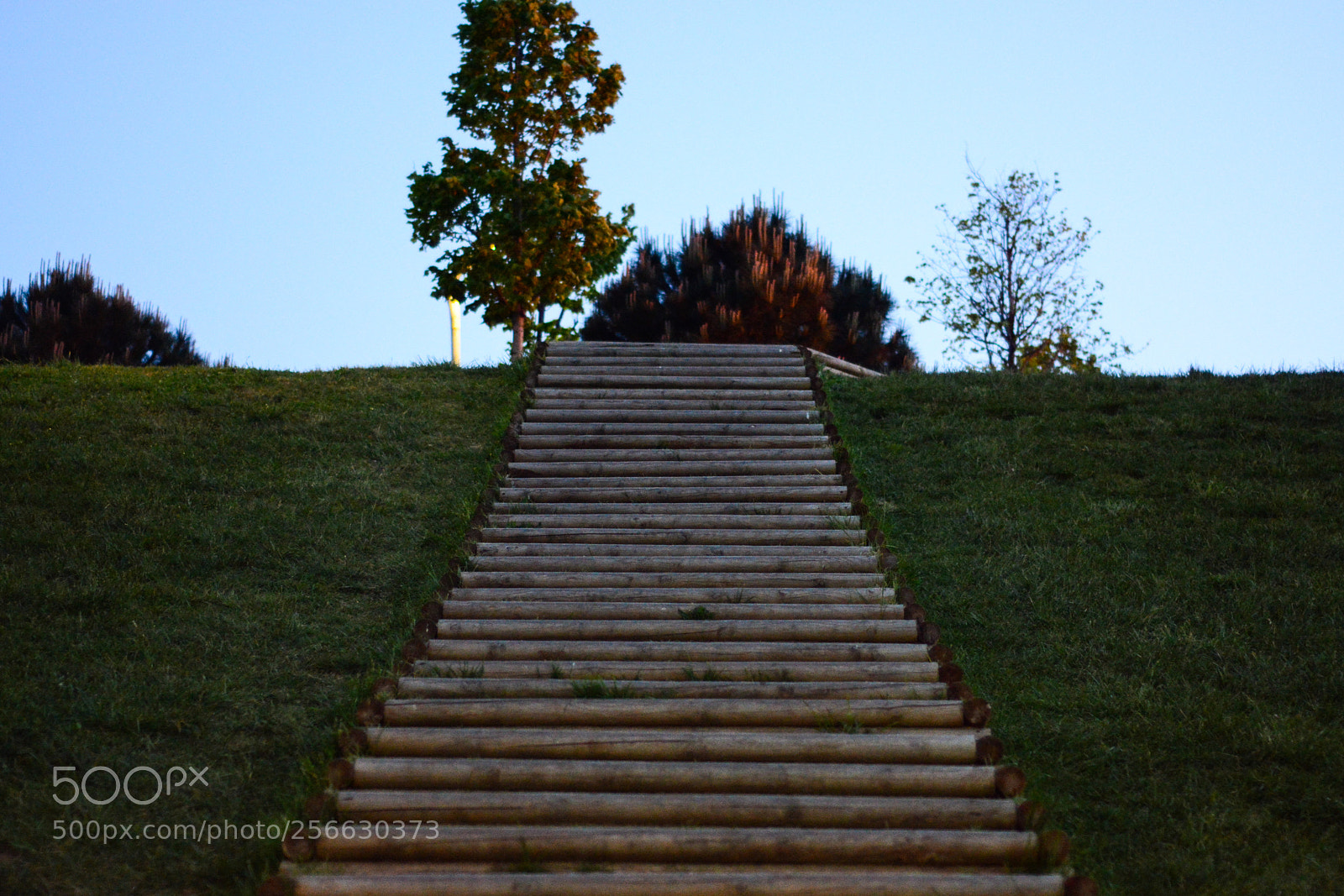 Nikon D7100 sample photo. Merdivenler.. photography