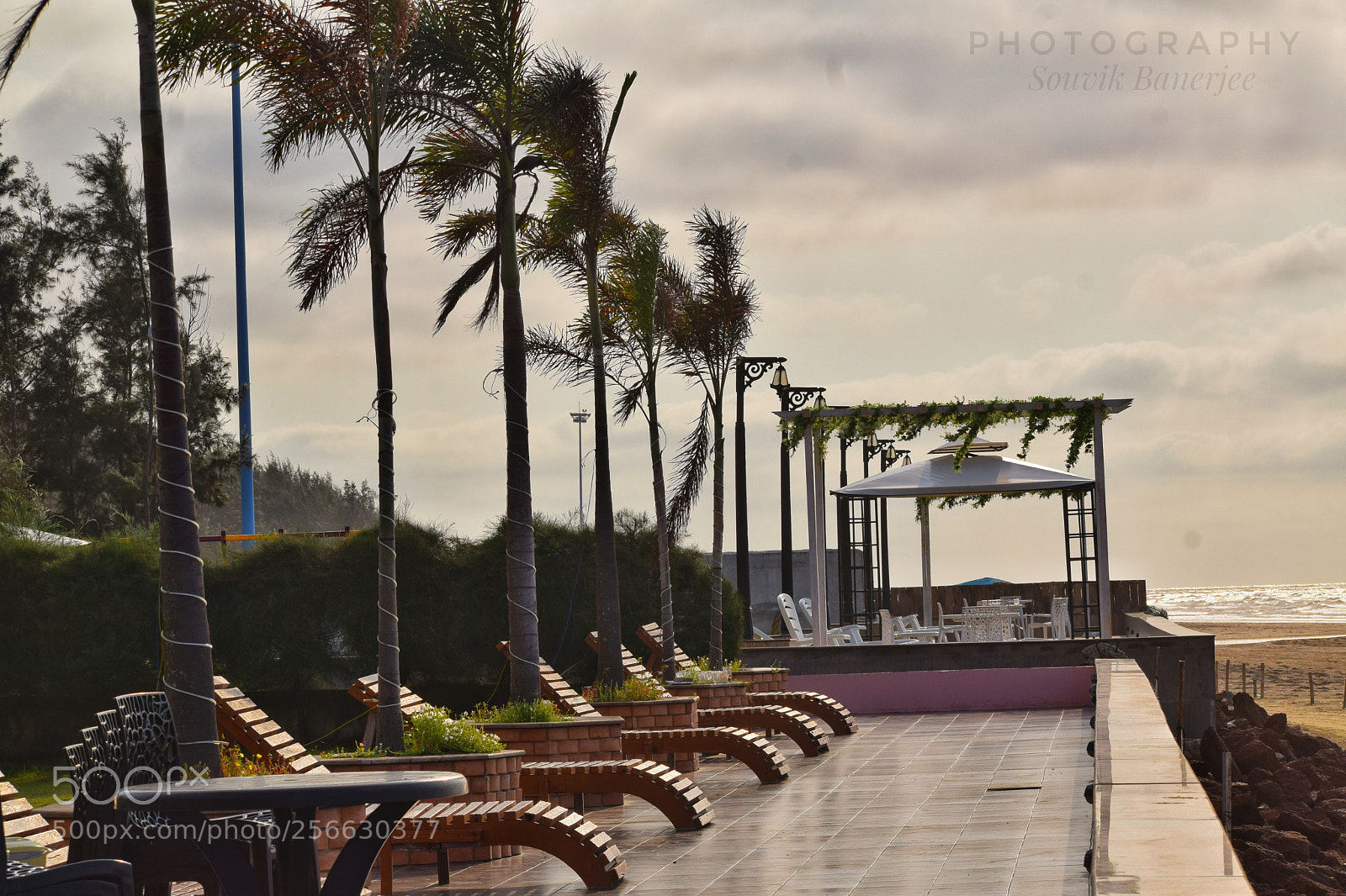 Nikon D3300 sample photo. Untitled photography