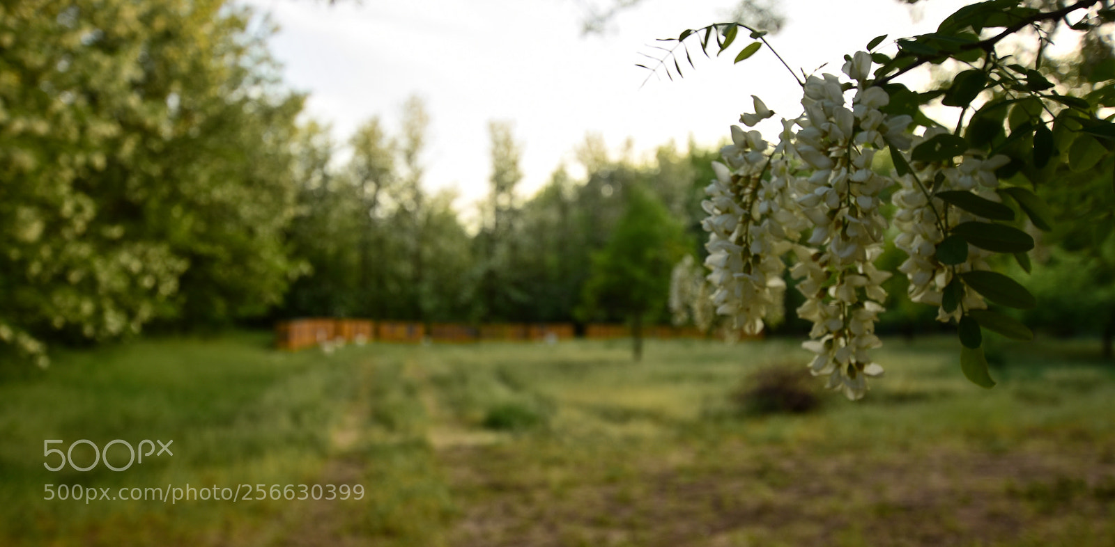 Nikon D7200 sample photo. Untitled photography