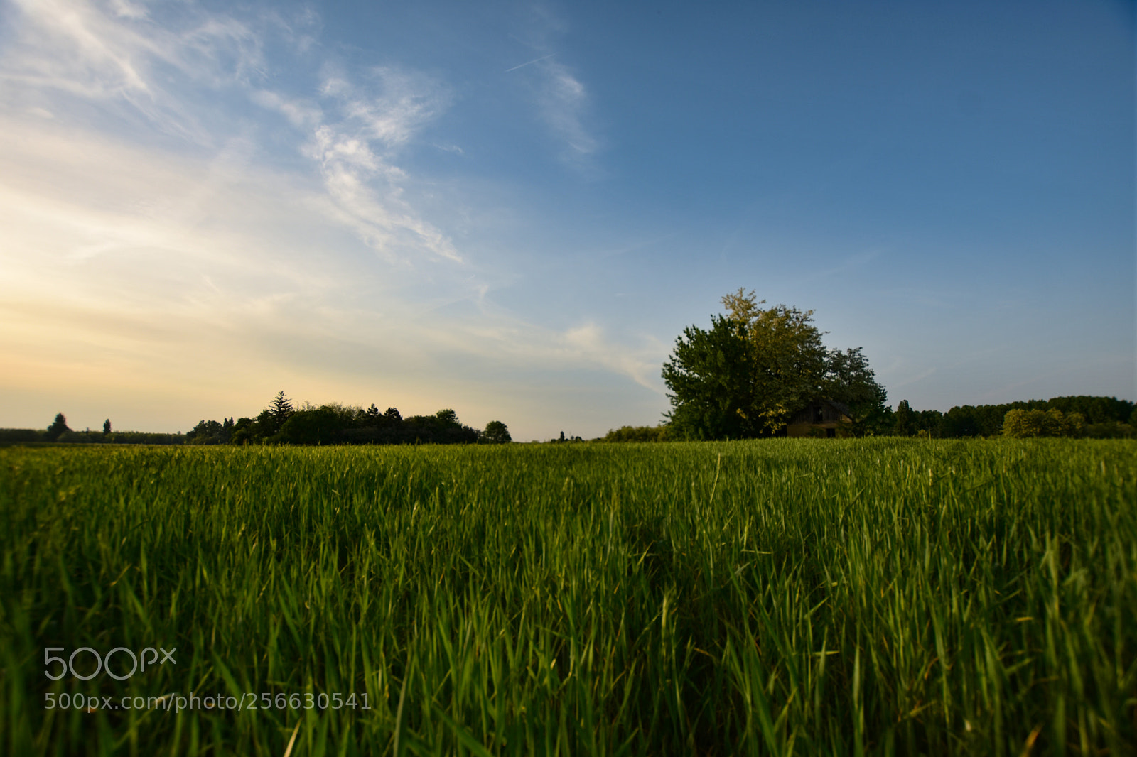 Nikon D7200 sample photo. Untitled photography