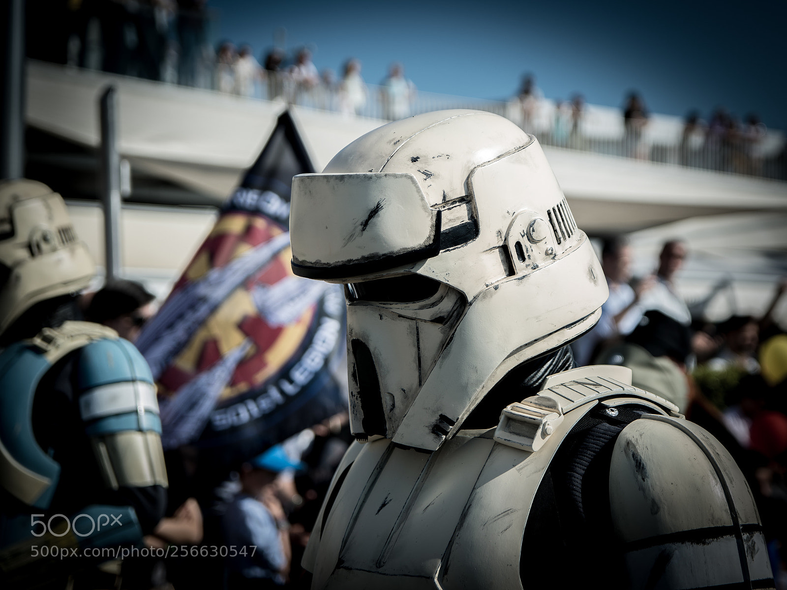Nikon D5300 sample photo. May the 4th photography