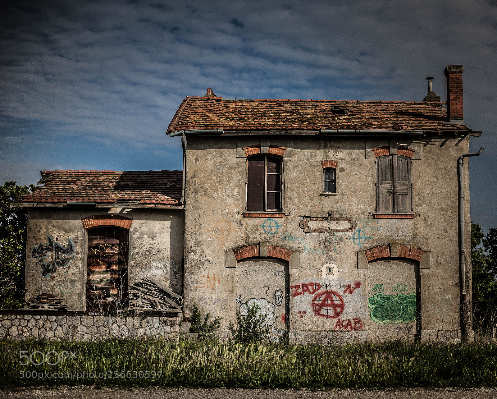 Nikon D610 sample photo. Stigmata photography